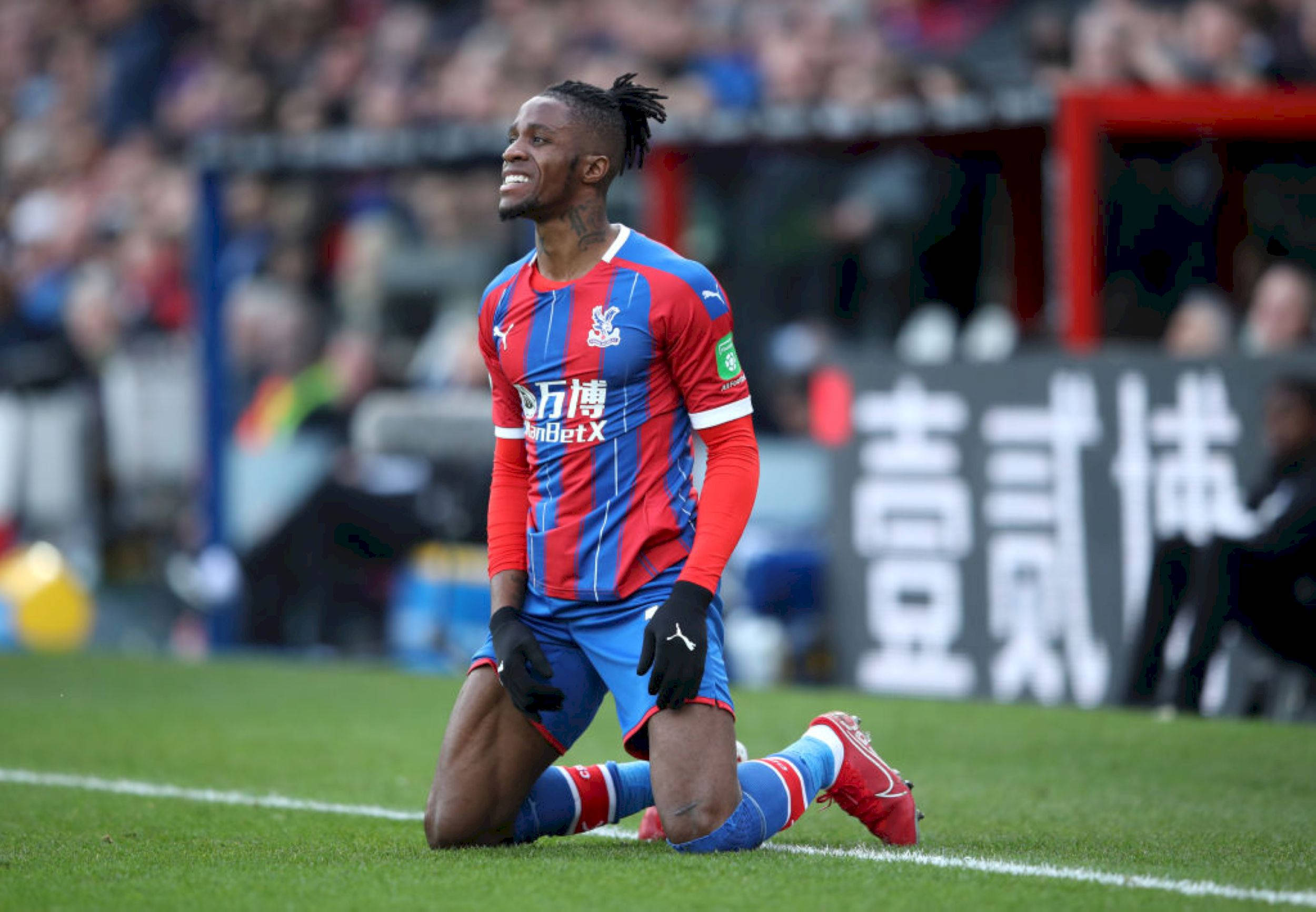 Wilfried Zaha, red and blue striped jersey, green pitch, Full HD Desktop Wallpaper