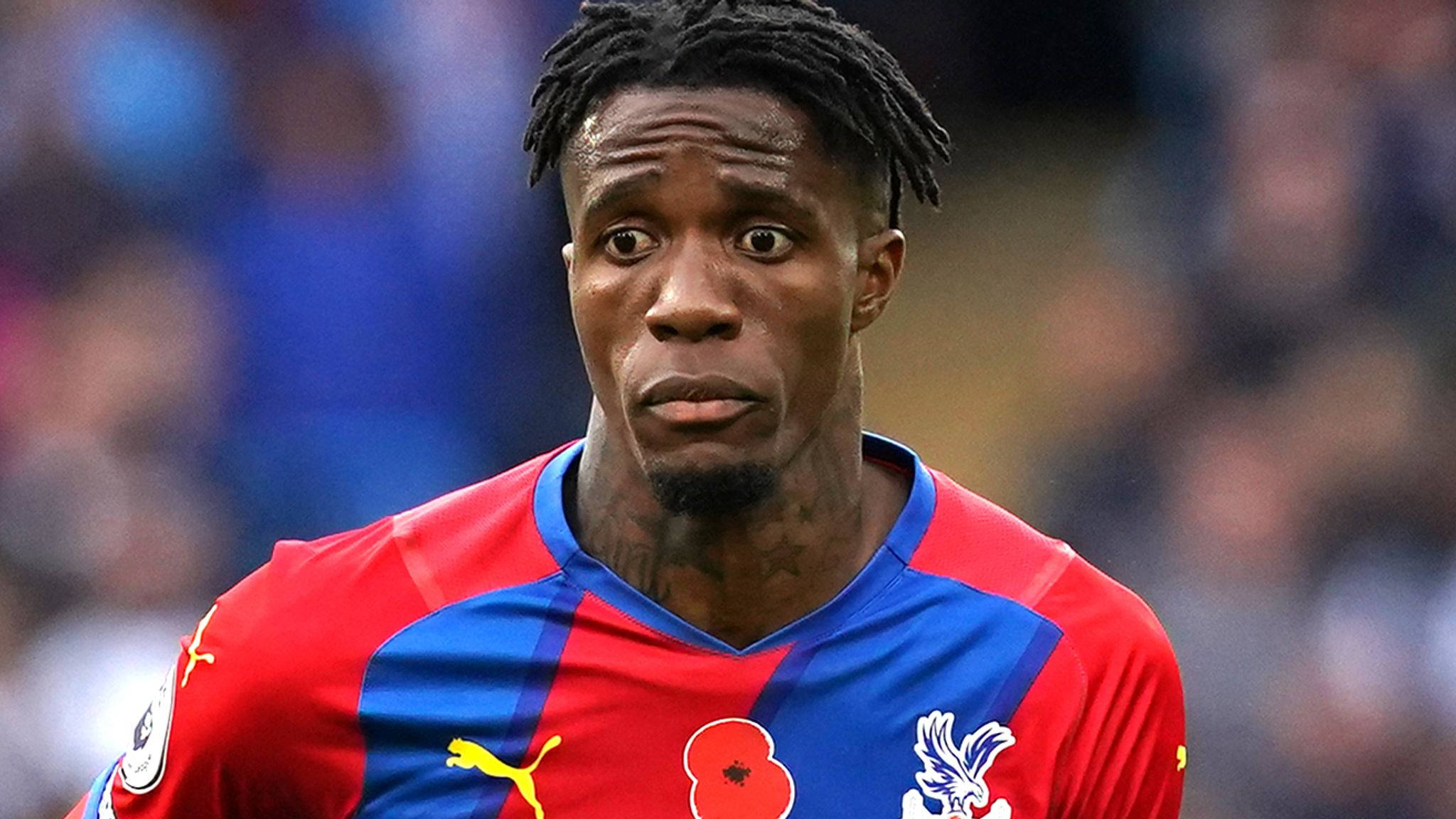 Wilfried Zaha, red and blue jersey, poppy emblem, Full HD Desktop Wallpaper