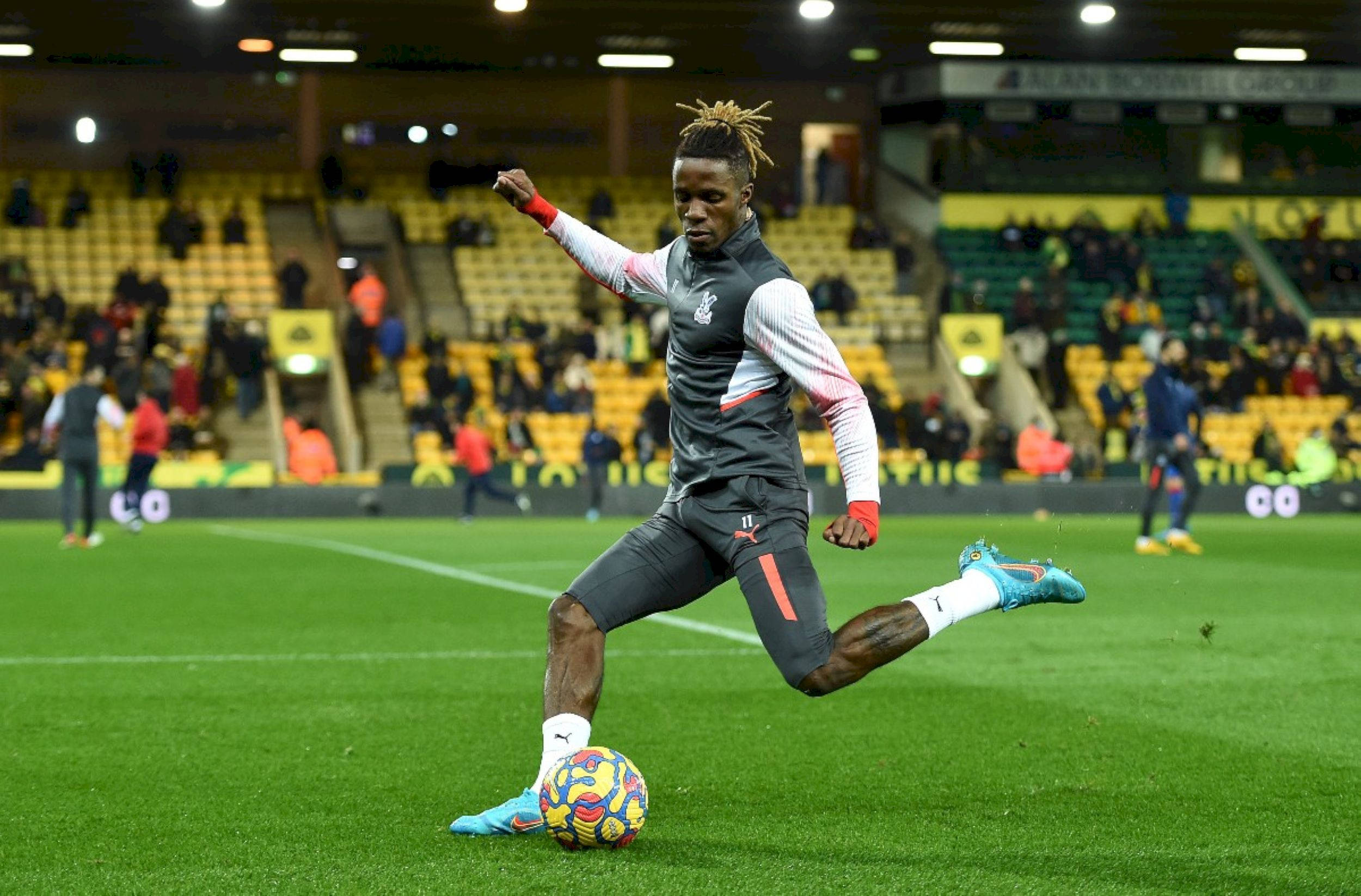 Wilfried Zaha, indoor football field, vibrant green pitch, Full HD Desktop Wallpaper