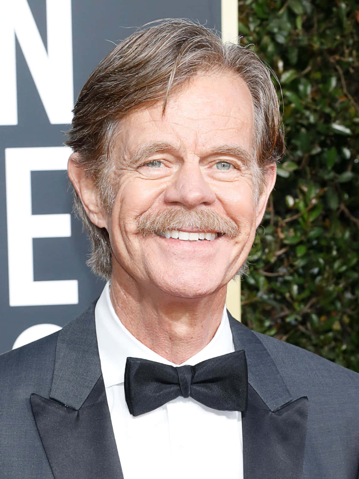 William H. Macy, tuxedo, red carpet event, HD Phone Wallpaper