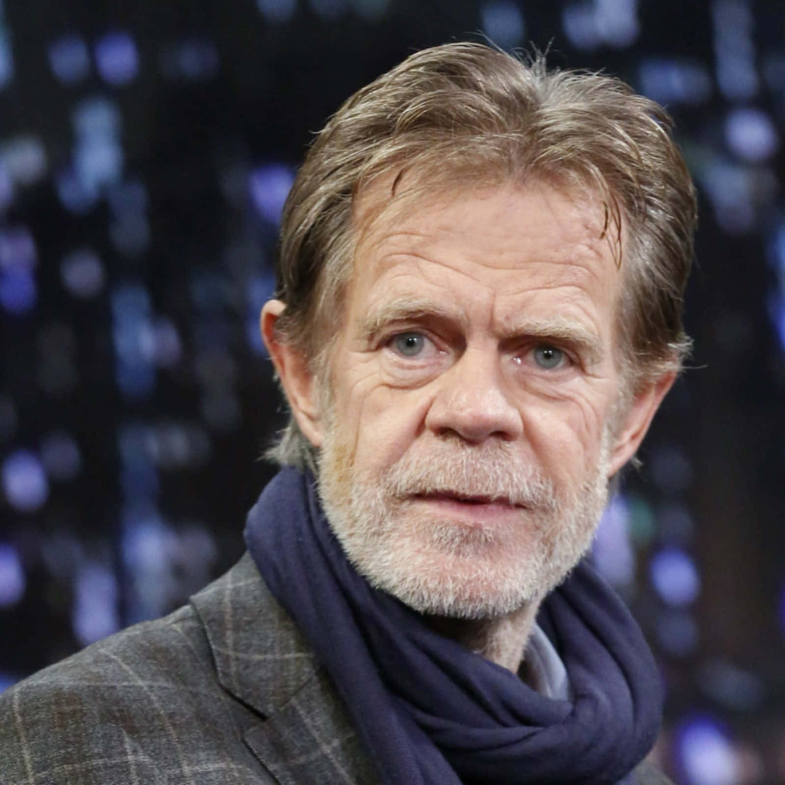 William H. Macy, gray hair, beard, HD Desktop Wallpaper
