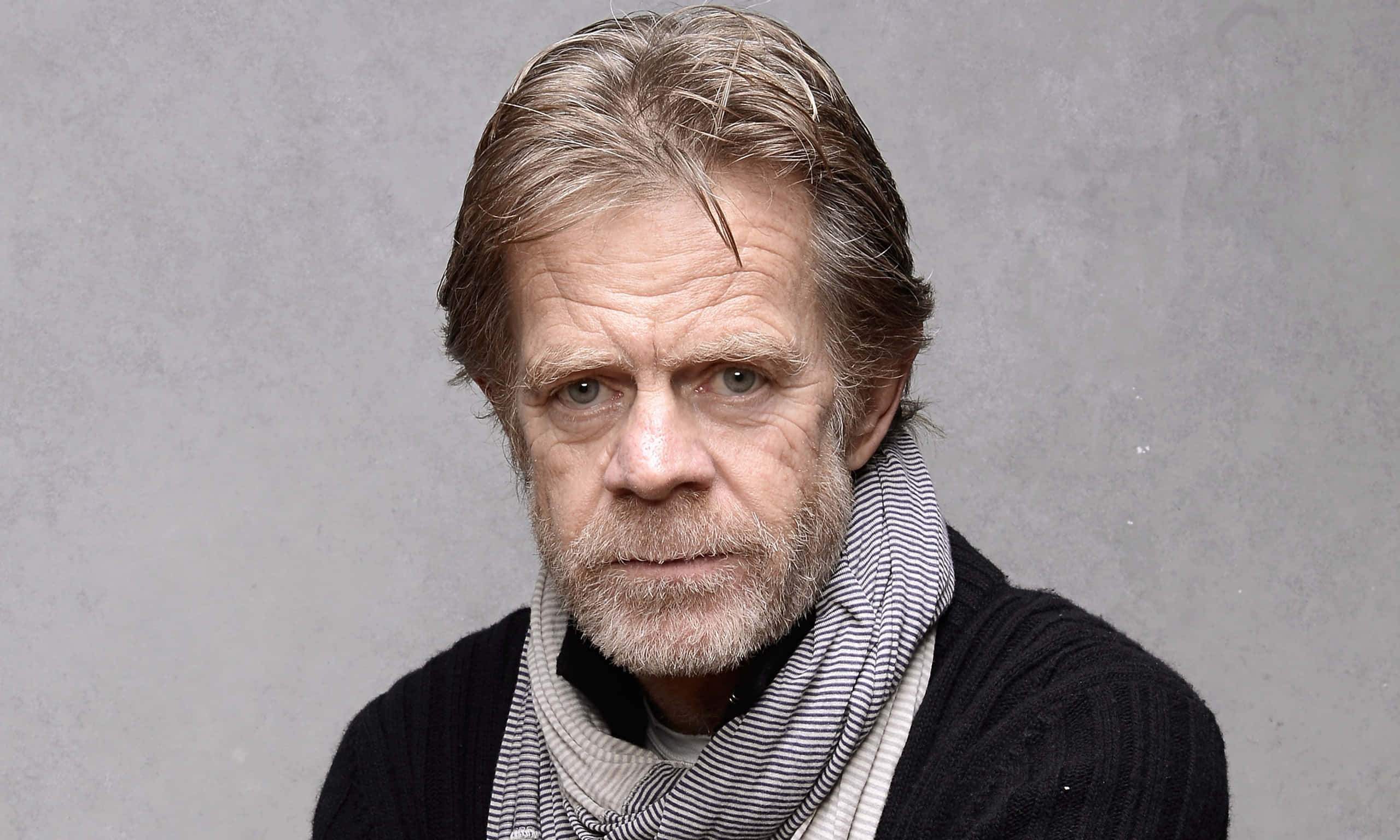 William H. Macy, gray hair, beard, 2K Desktop Wallpaper