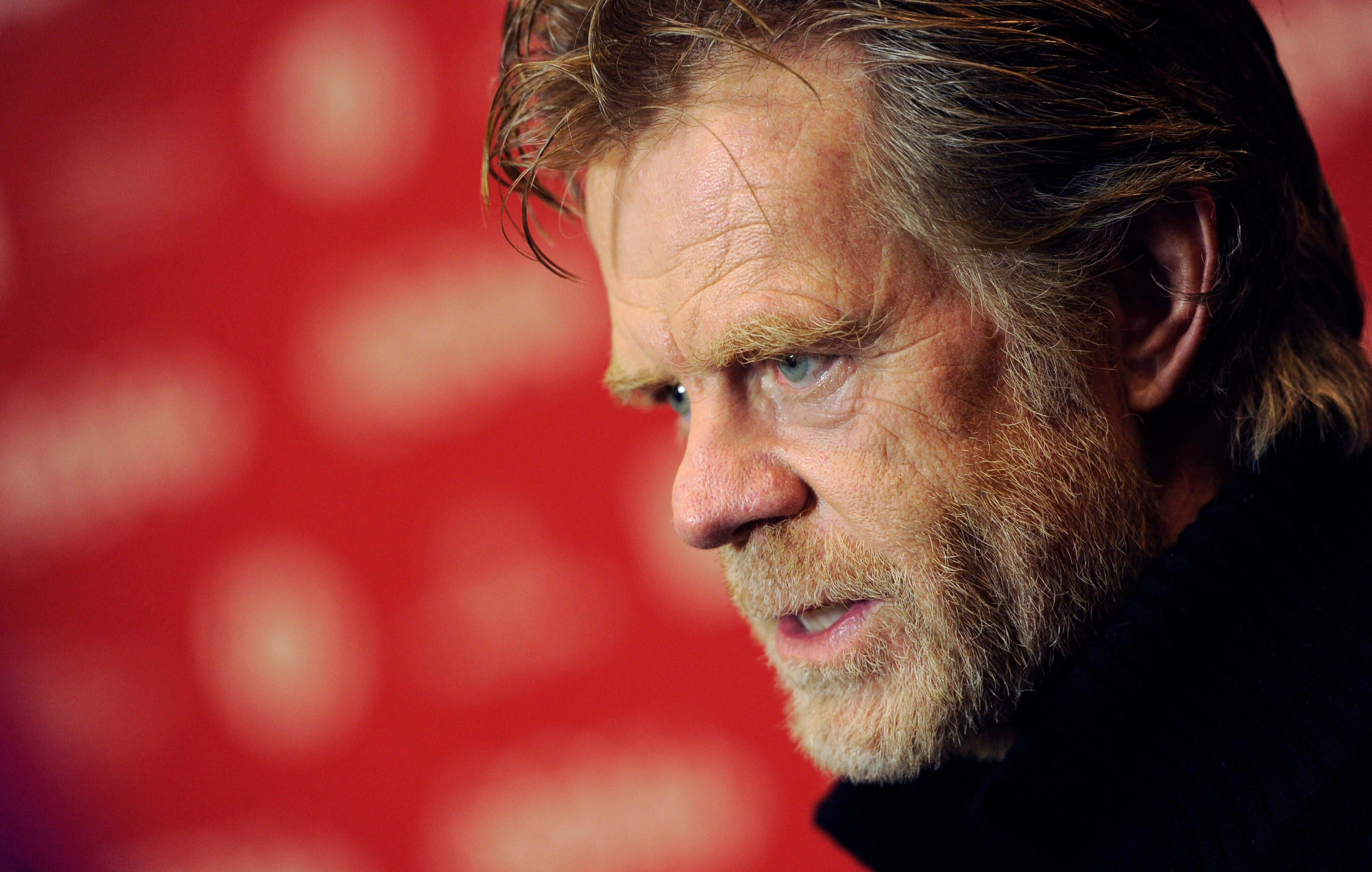 William H. Macy, bearded man, intense gaze, 4K Desktop Wallpaper