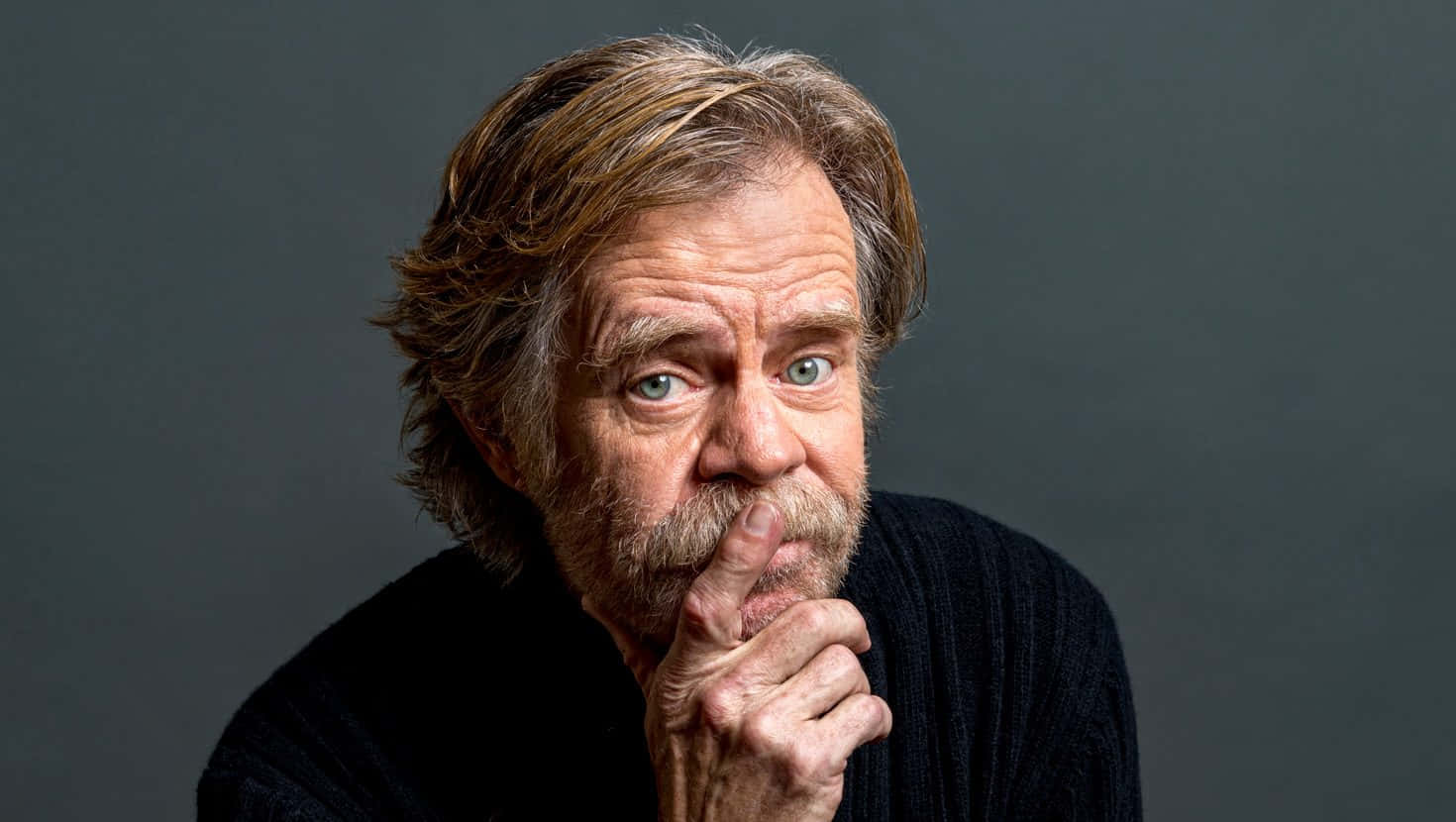 William H. Macy, graying hair, beard, HD Desktop Wallpaper