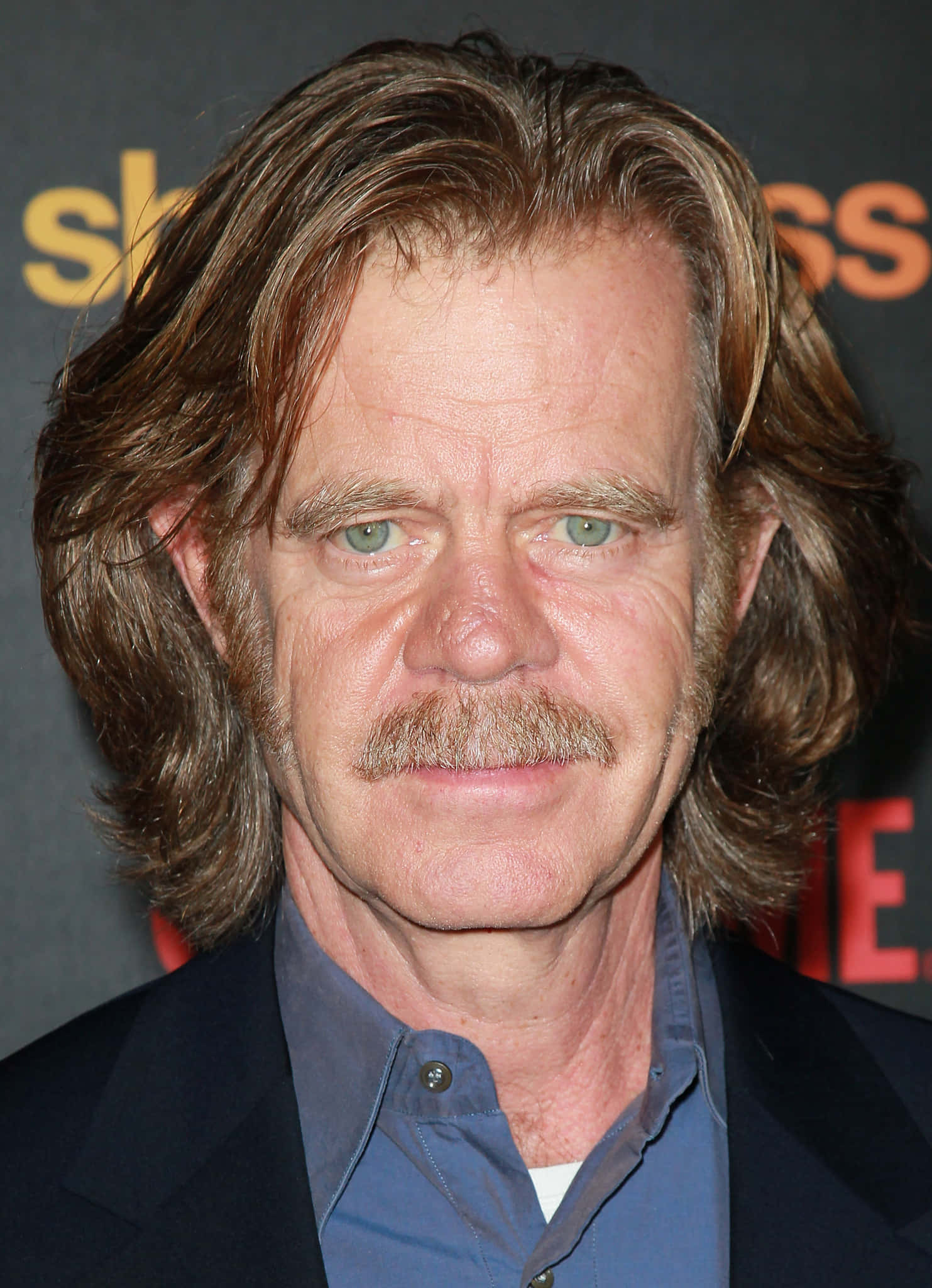 William H. Macy, long brown hair, mustache, Full HD Phone Wallpaper