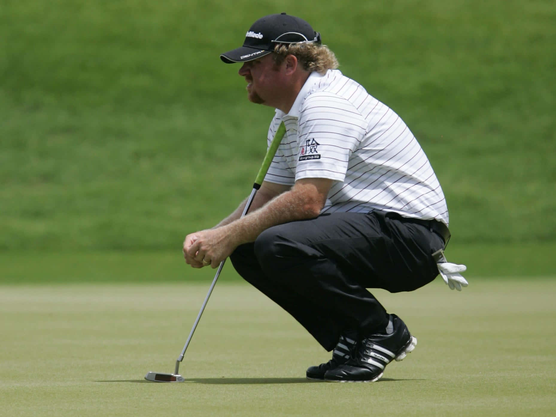 William McGirt, squatting, sunlit green grass course, HD Desktop Wallpaper