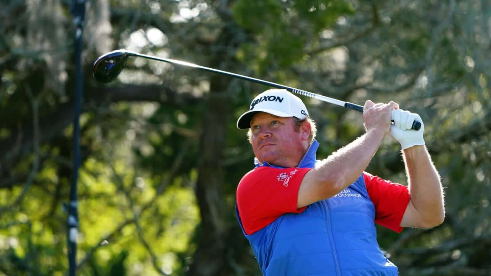 William McGirt, red and blue, sunlit trees, HD Desktop Wallpaper