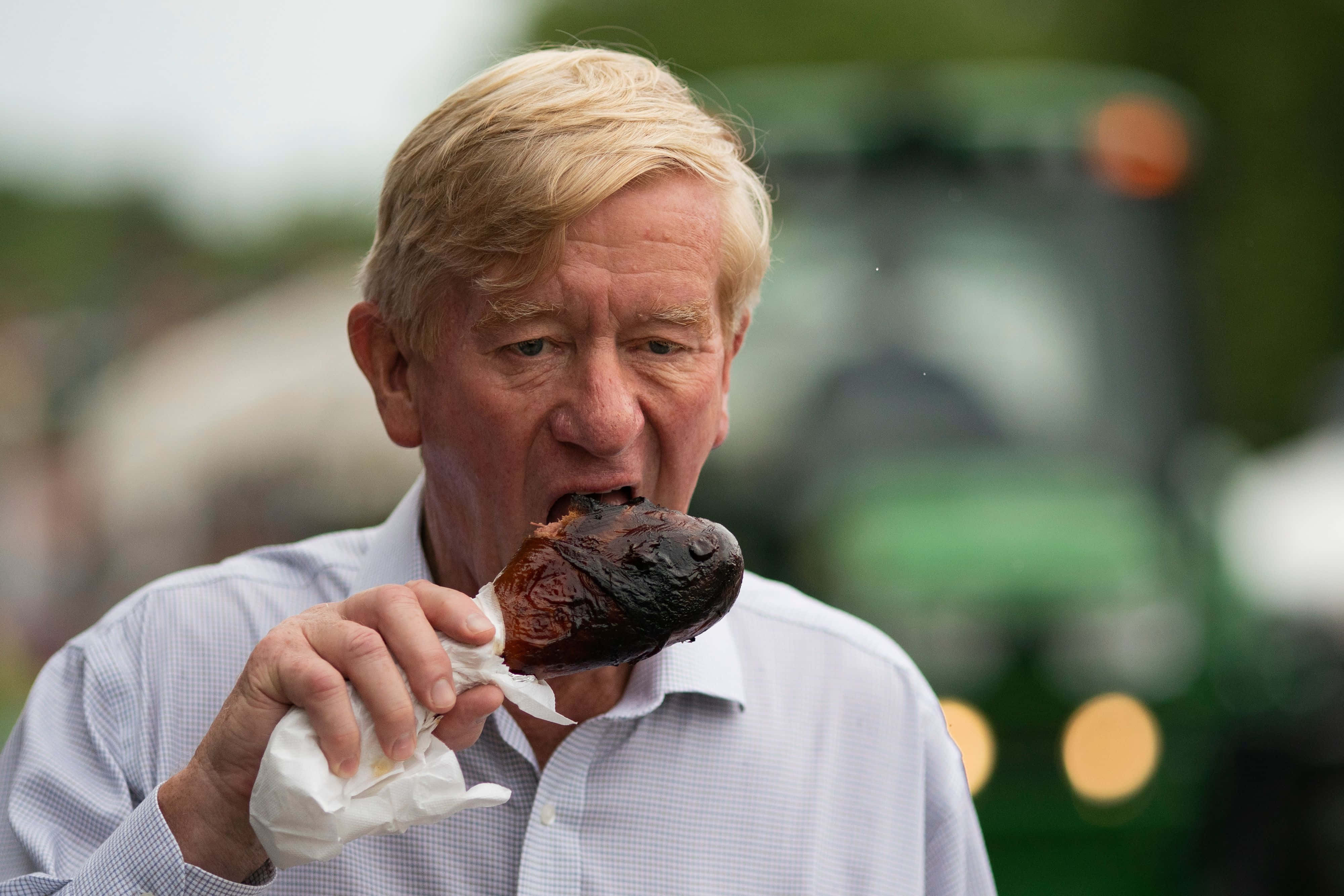 William Weld, blond hair, charred roasted chicken leg, 4K Desktop Wallpaper