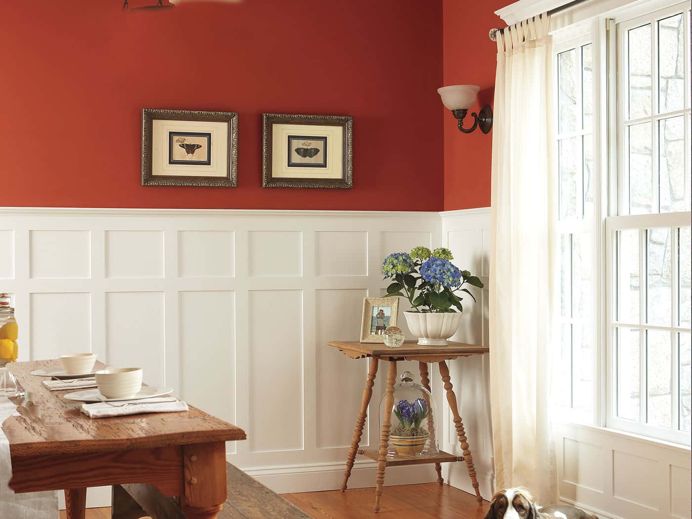 red walls, white wainscoting, natural light, HD Desktop Wallpaper
