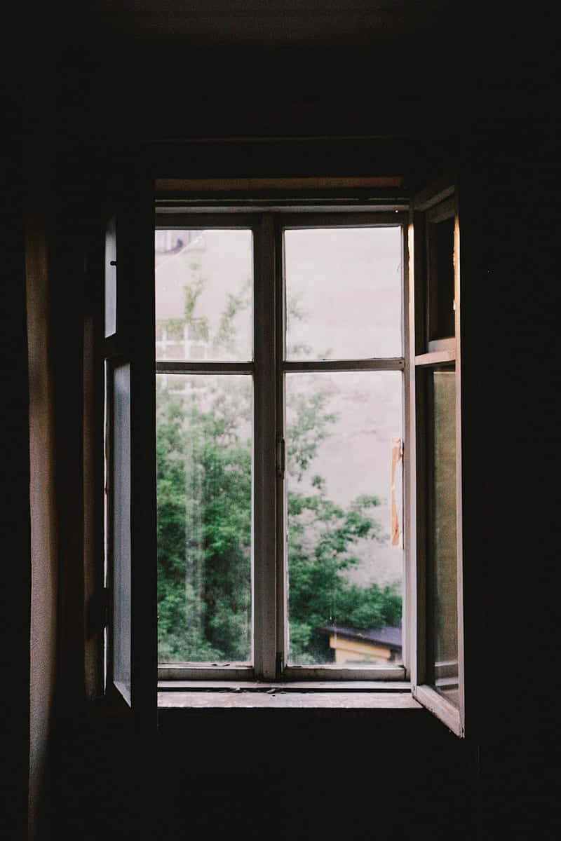 Window, dark room, lush green trees, SD Phone Wallpaper