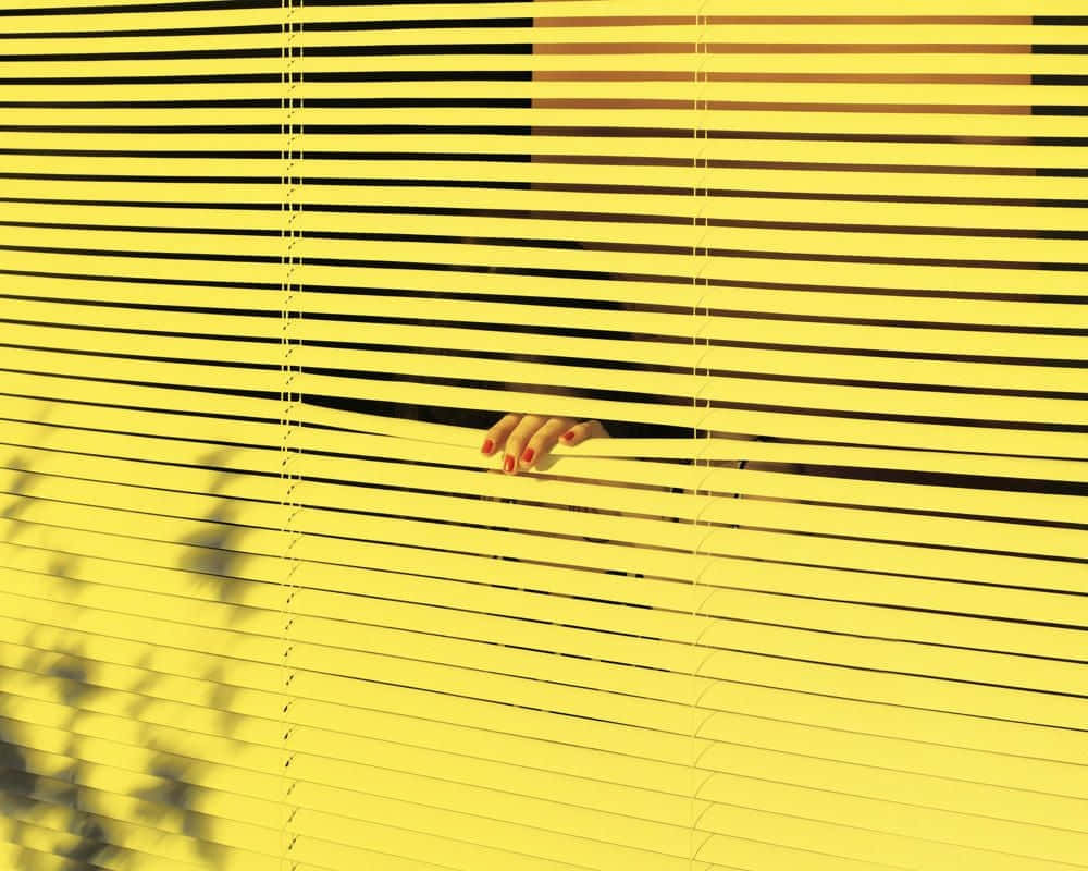yellow aesthetic desktop, yellow horizontal blinds, tree shadows, SD Desktop Wallpaper