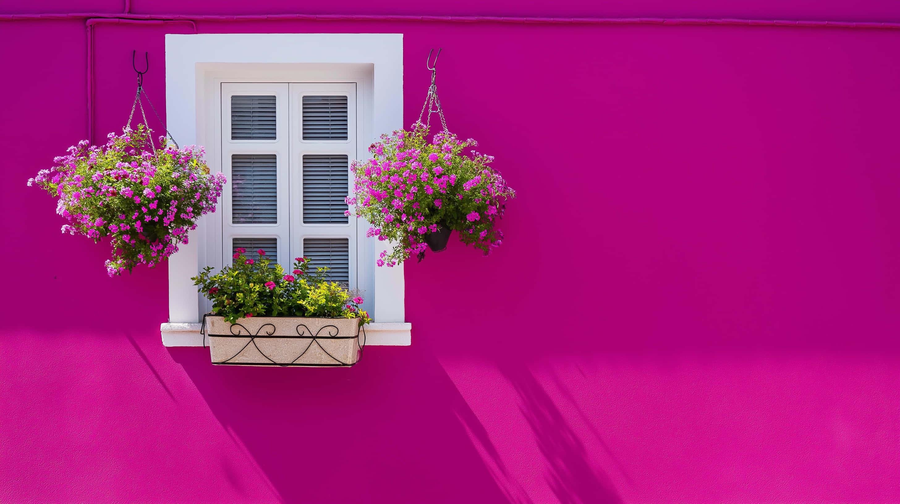 vibrant magenta wall, white window, pink flower baskets, 2K Desktop Wallpaper