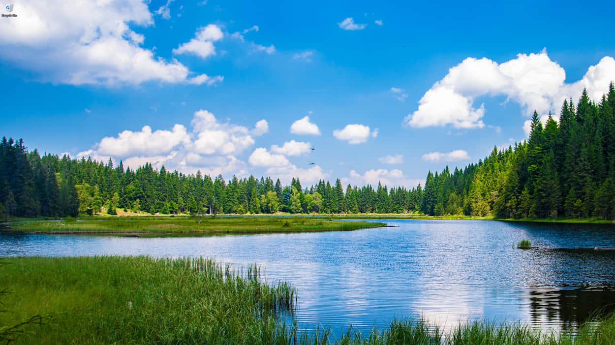 Windows 1, lake, bright blue sky, SD Desktop Wallpaper