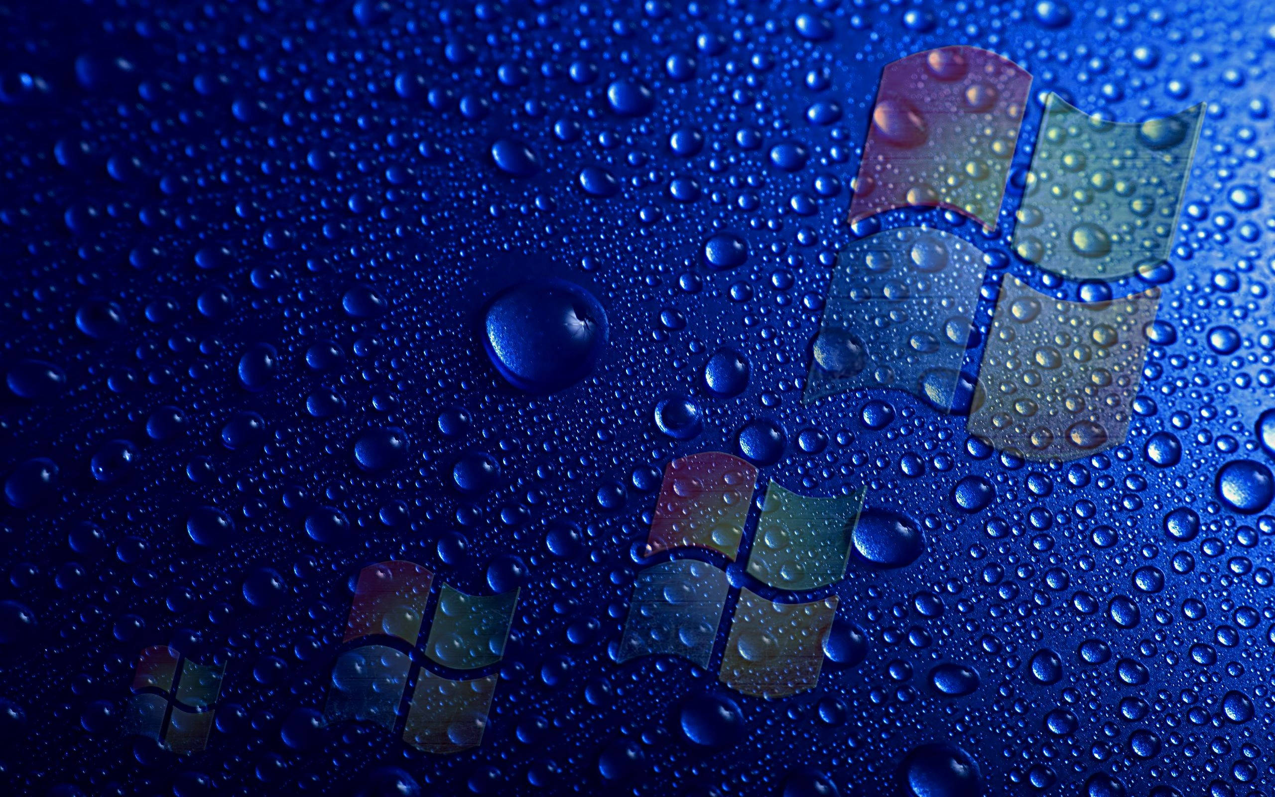 Windows 10 HD, Windows logo, raindrops, 2K Desktop Wallpaper