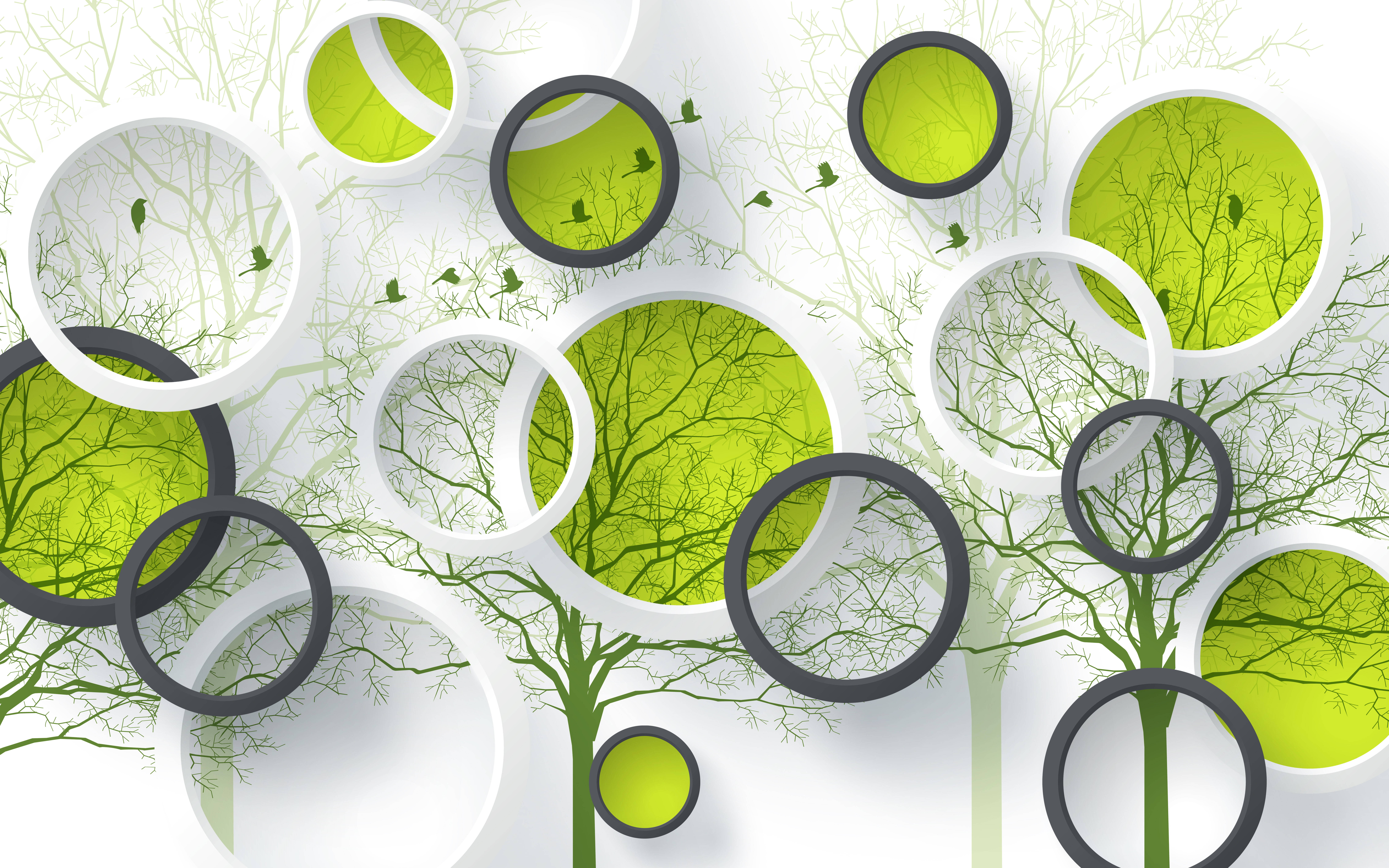 Windows 11 4K, tree, circles, 8K Desktop Wallpaper