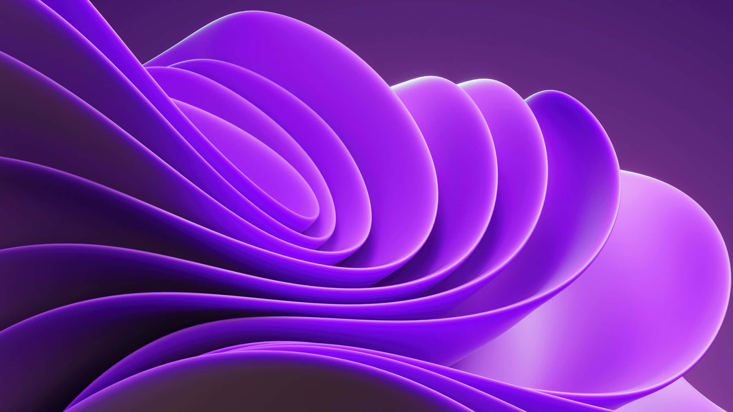 Windows 11, purple flower bloom, spiraling purple ribbons, 2K Desktop Wallpaper
