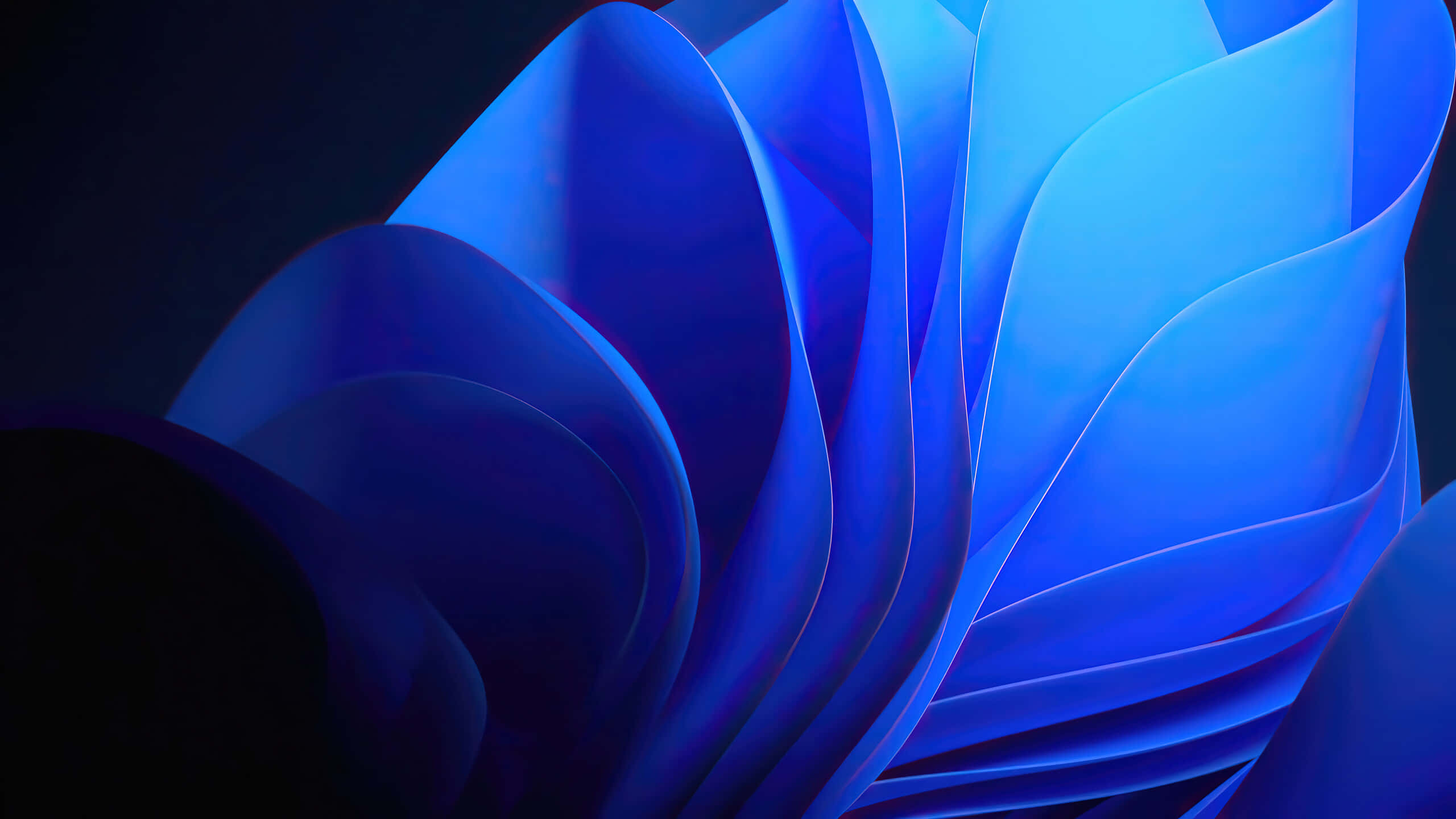 Windows 11, default wallpaper, blue ribbons, 2K Desktop Wallpaper