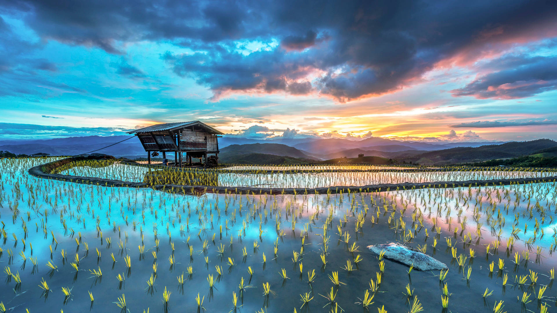 wooden stilt house, reflective rice paddies, dramatic twilight sky, Full HD Desktop Wallpaper