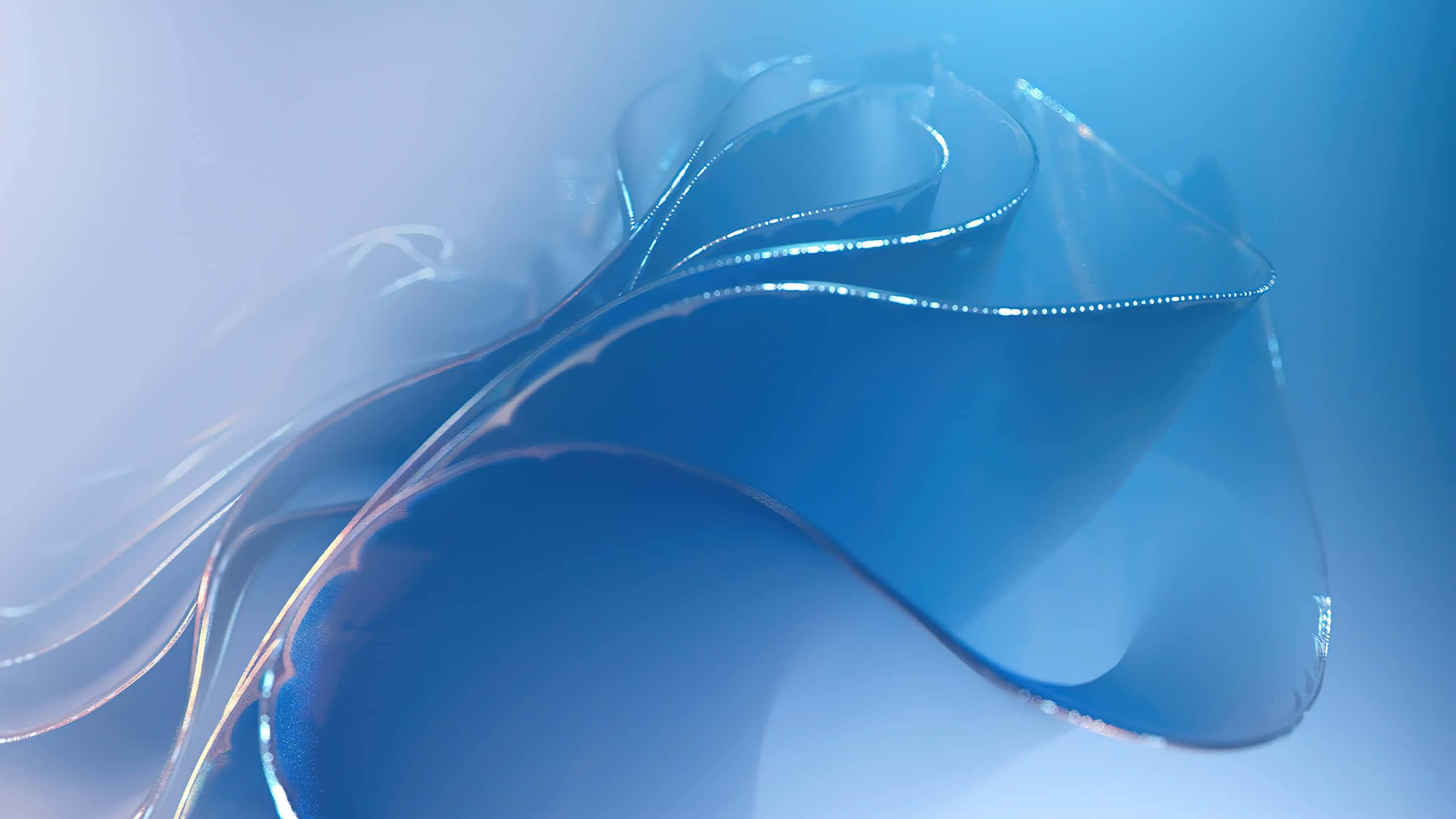 Windows 11, abstract blue flow, translucent blue ribbon, 2K Desktop Wallpaper