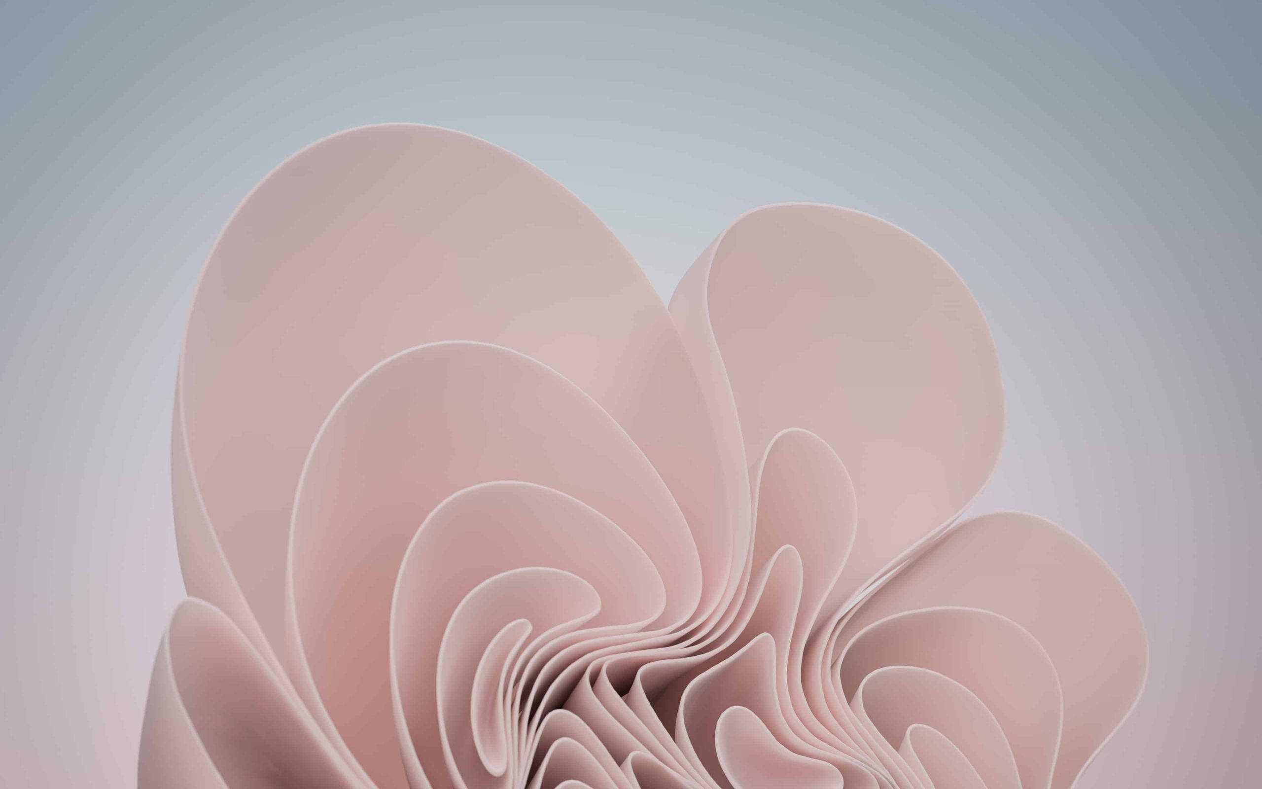 Windows 11, pink aesthetic, bloom, 2K Desktop Wallpaper