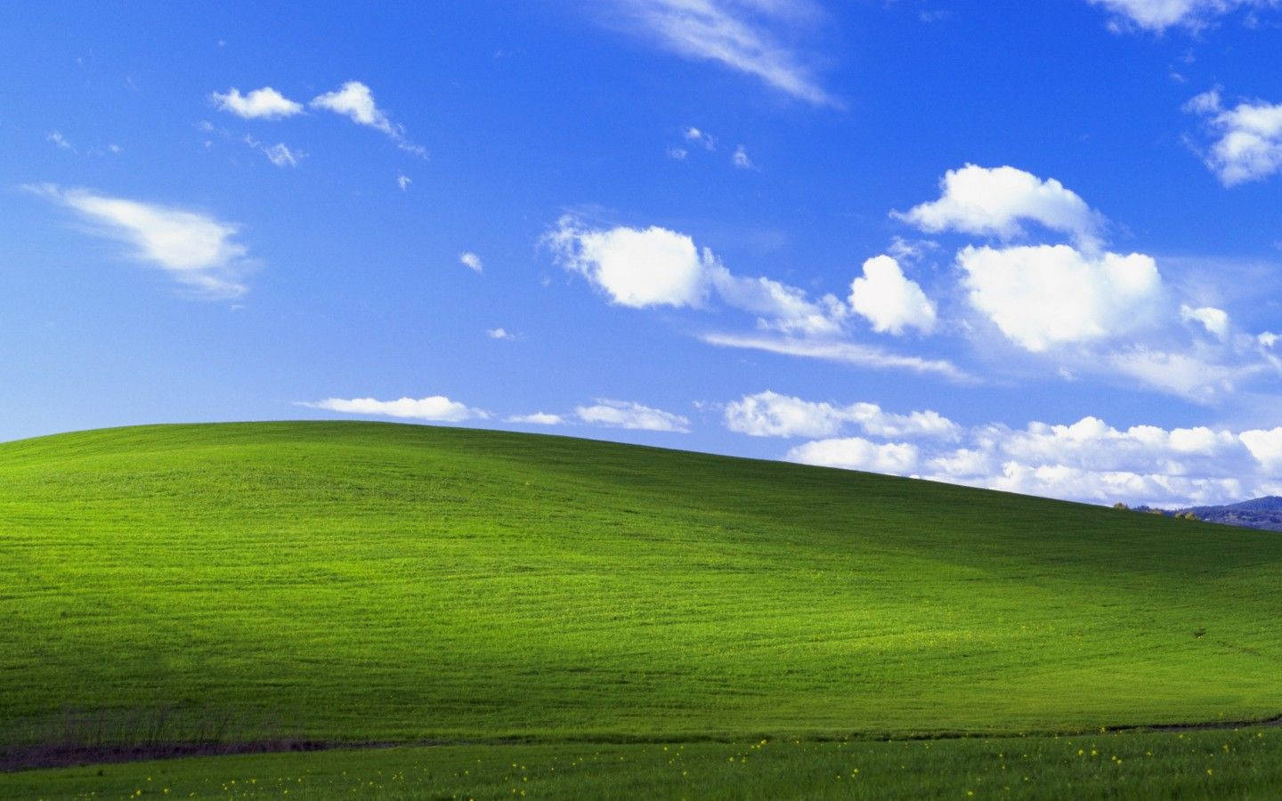 Windows 8, green hill, bright blue sky, HD Desktop Wallpaper