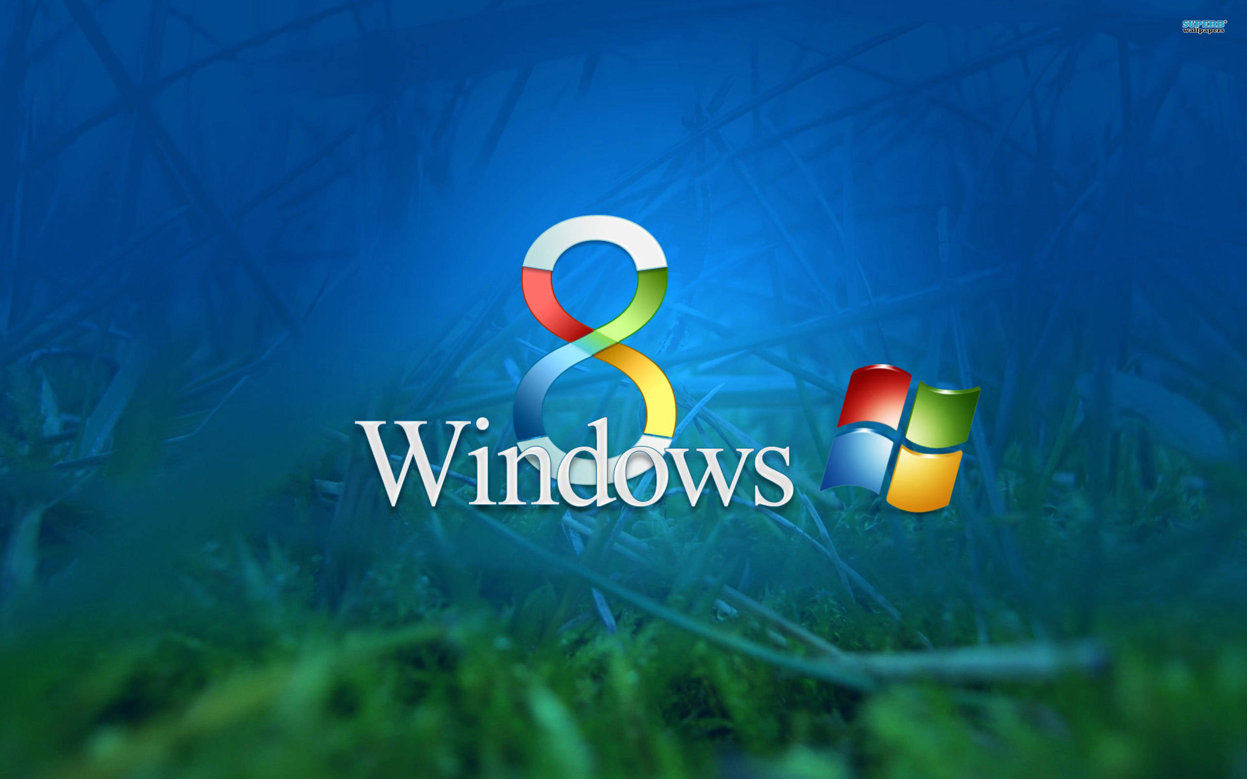 Windows 8, colorful ribbon design, classic windows icon, 2K Desktop Wallpaper