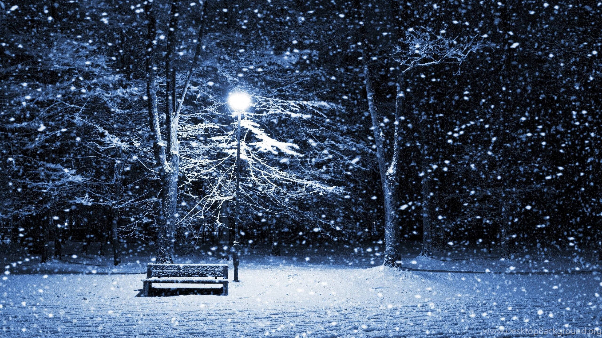 Windows Winter, bench, lamppost, 2K Desktop Wallpaper