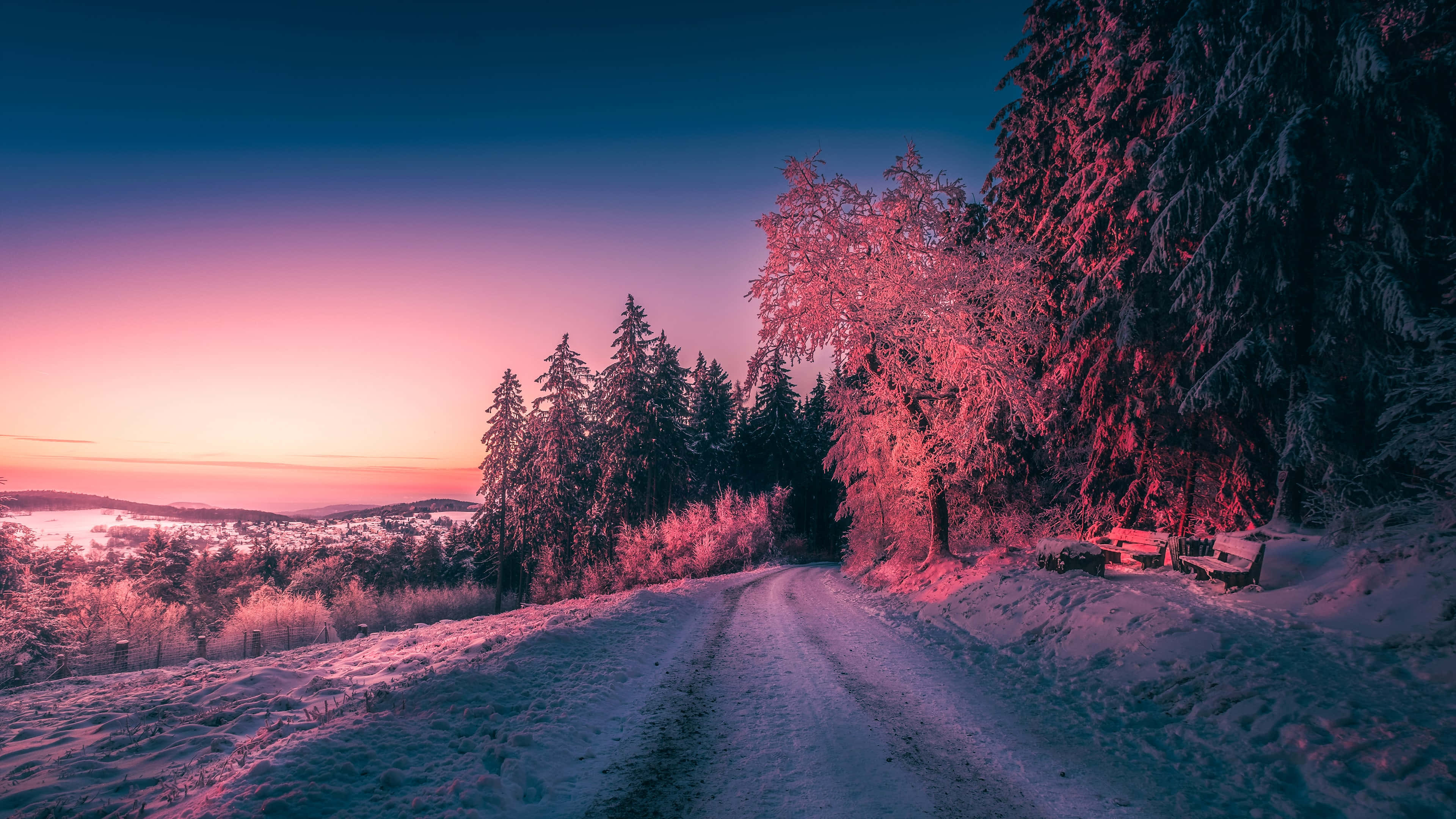 Winter, snow-covered forest path, frosty trees, 4K Desktop Wallpaper