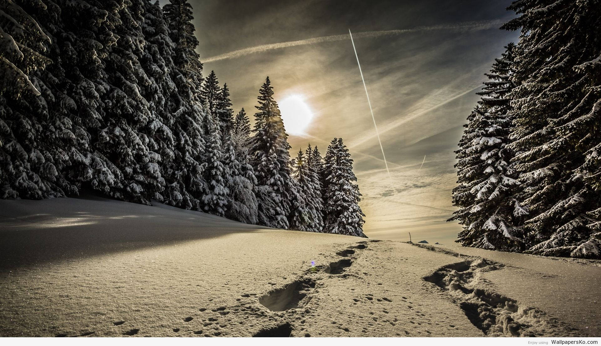 Windows Winter, snowy forest path, footprints, Full HD Desktop Wallpaper