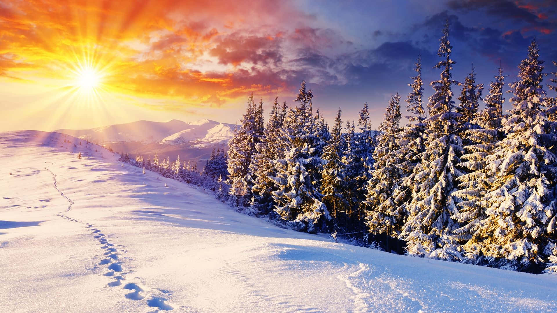Winter Sunrise, snowy mountain trail, snow-laden pines, Full HD Desktop Wallpaper
