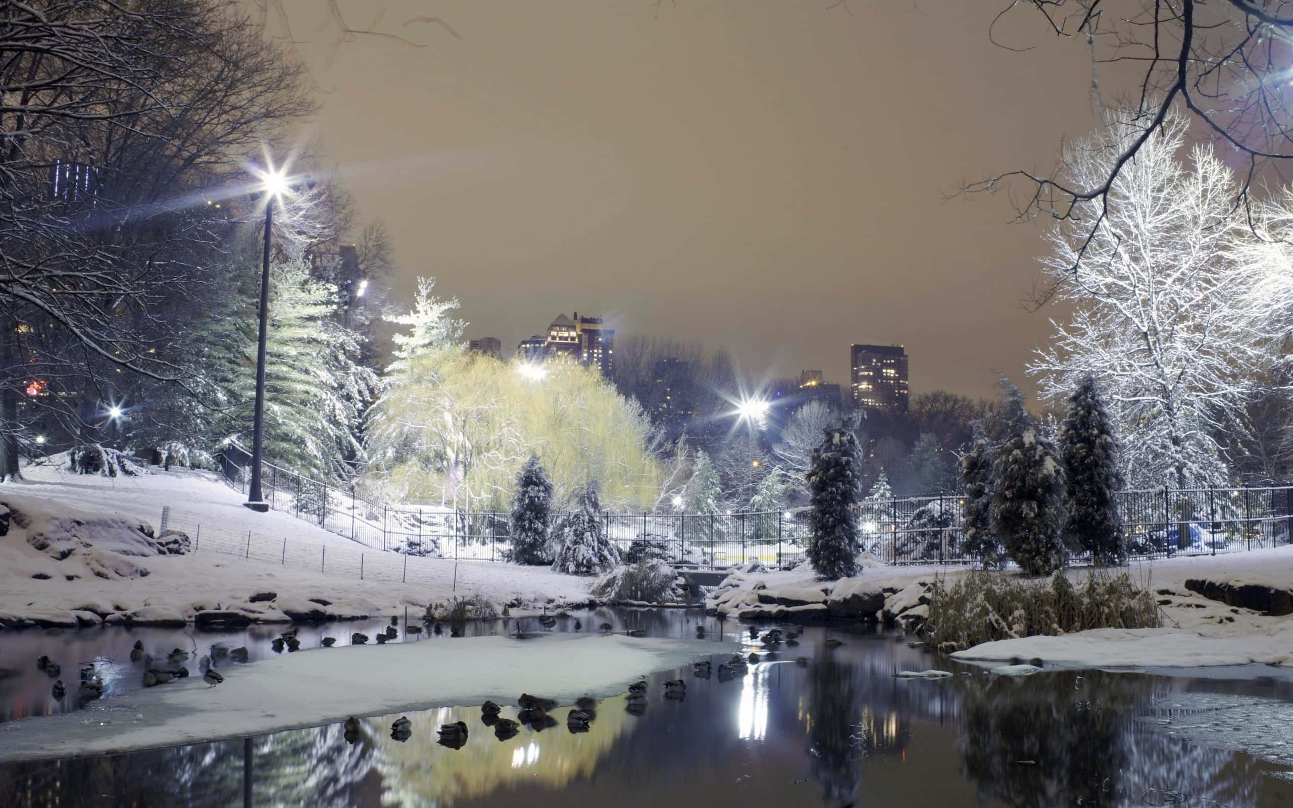 Winter Scene, Snow-Covered Desktop, Frozen Pond, 2K Desktop Wallpaper