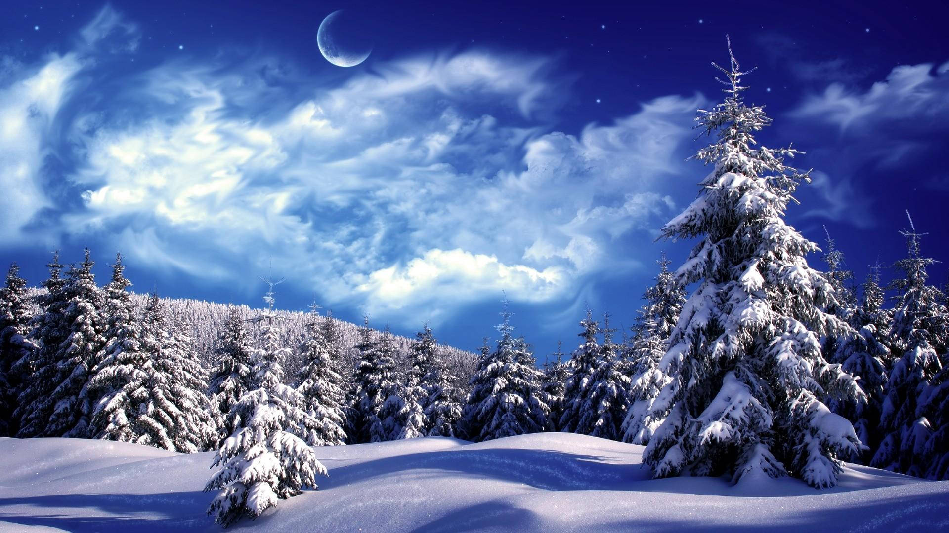 Windows Winter, pine trees, crescent moon, Full HD Desktop Wallpaper