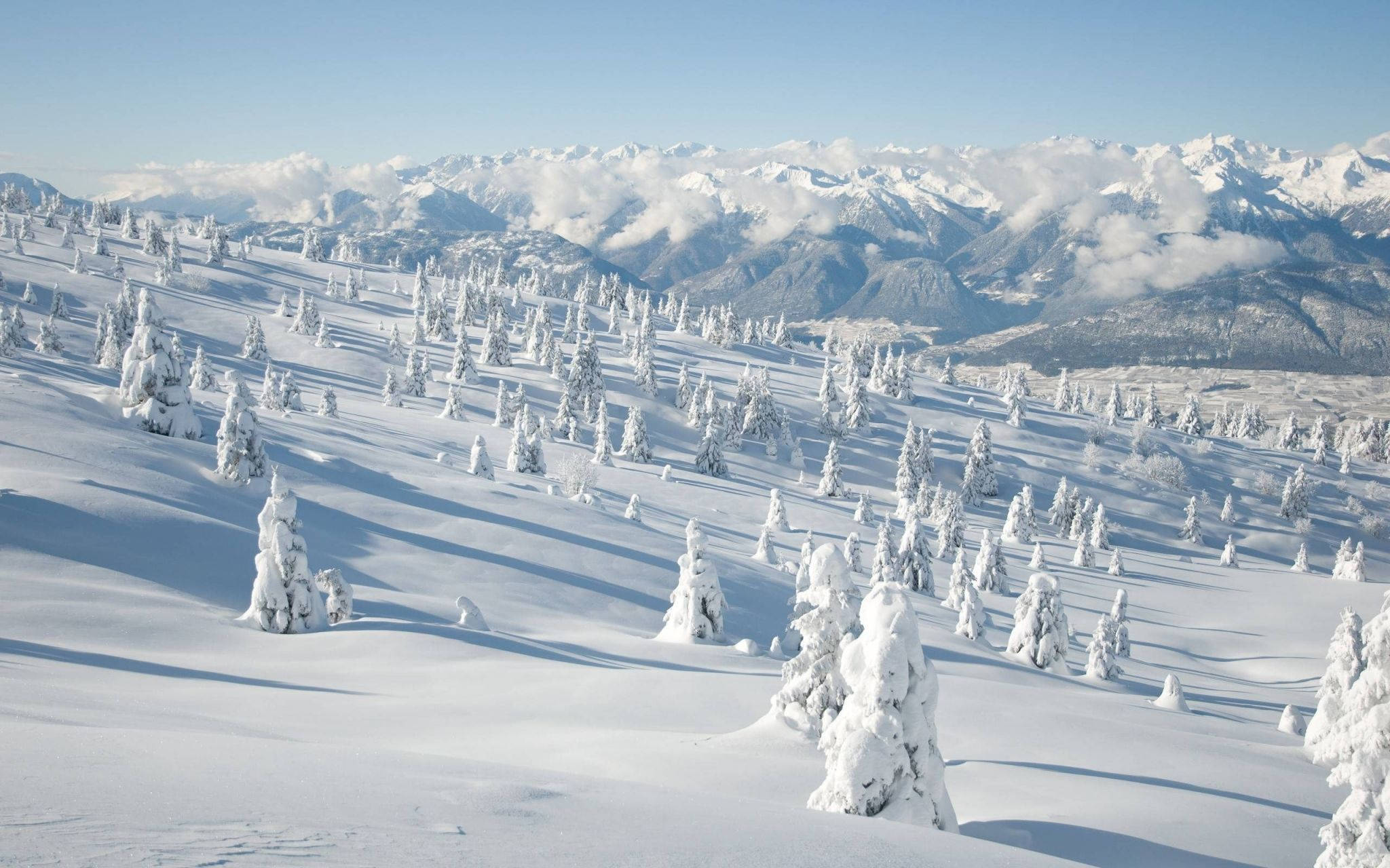 snow-covered trees, bright sunlit mountain slope, distant peaks, Full HD Desktop Wallpaper