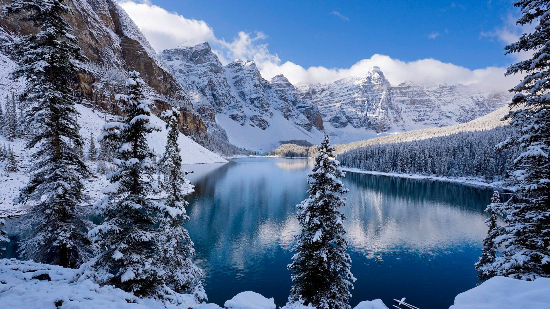blue lake, mountains, snow-covered evergreens, Full HD Desktop Wallpaper