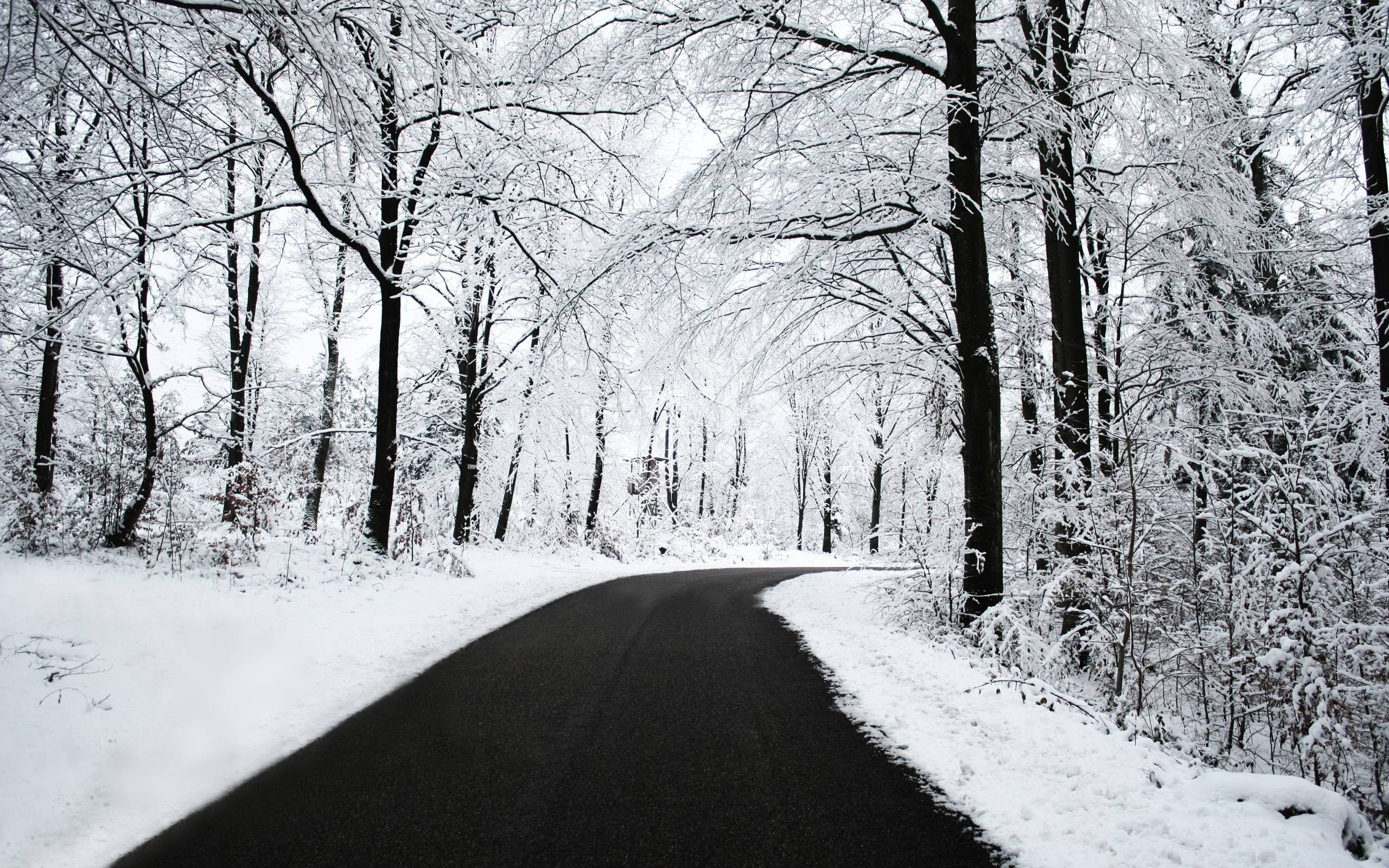 snowy forest, winding asphalt road, trees heavily coated in frost, 2K Desktop Wallpaper