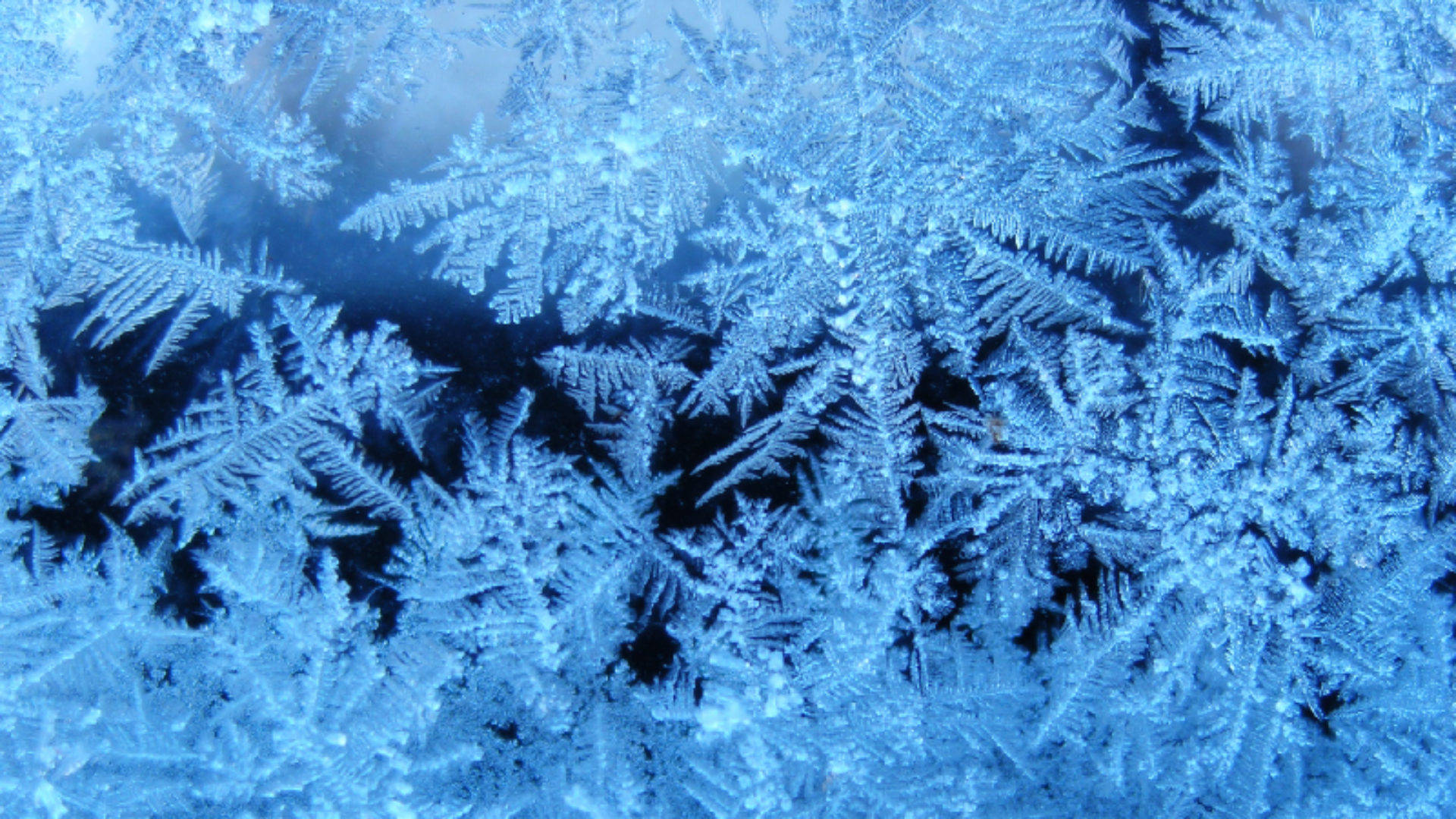 winter season, window, snowflakes, Full HD Desktop Wallpaper