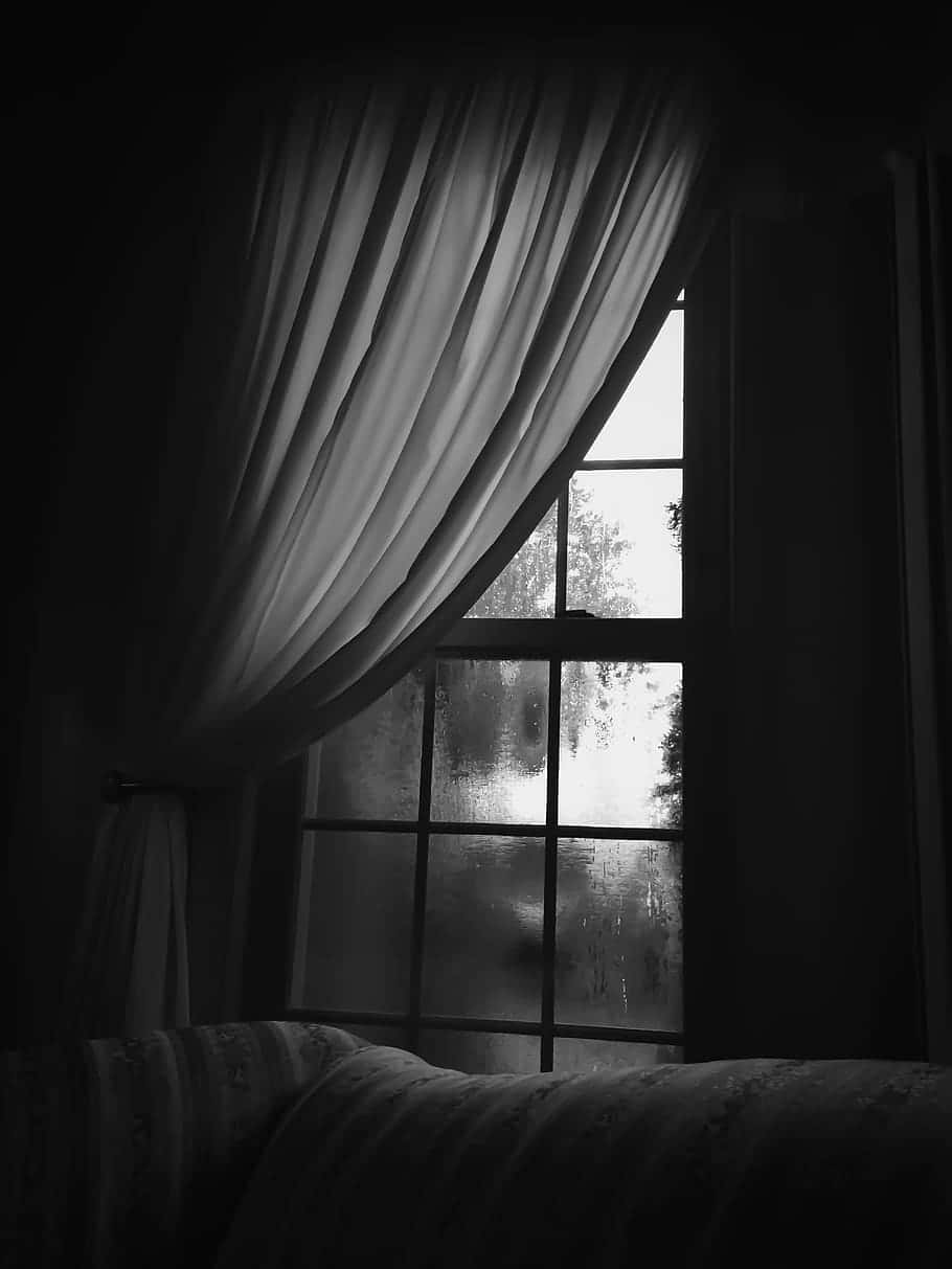 monochrome winter window scene, black and white view, rain-streaked window, SD Phone Wallpaper