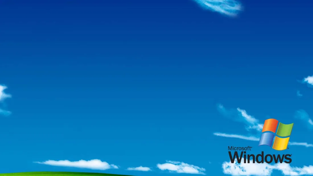 Windows XP Logo