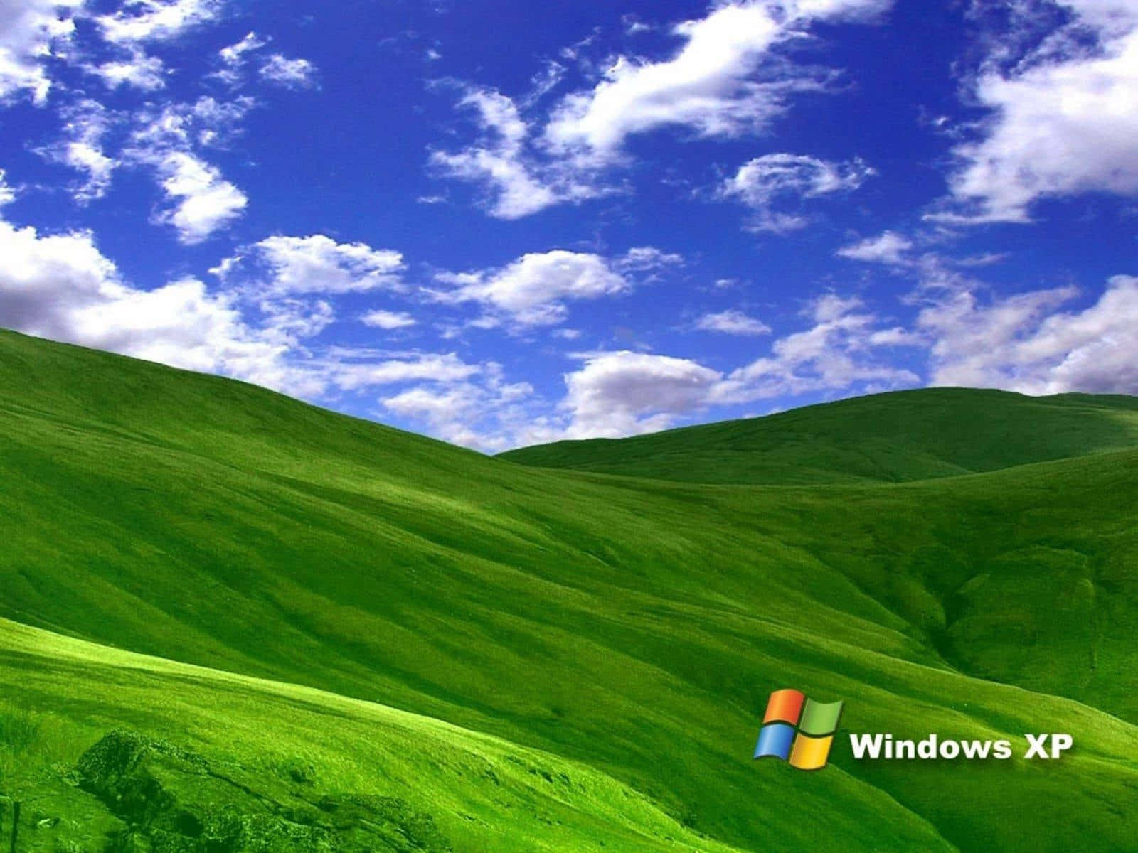 Windows XP Logo, vibrant green, bright blue sky, HD Desktop Wallpaper