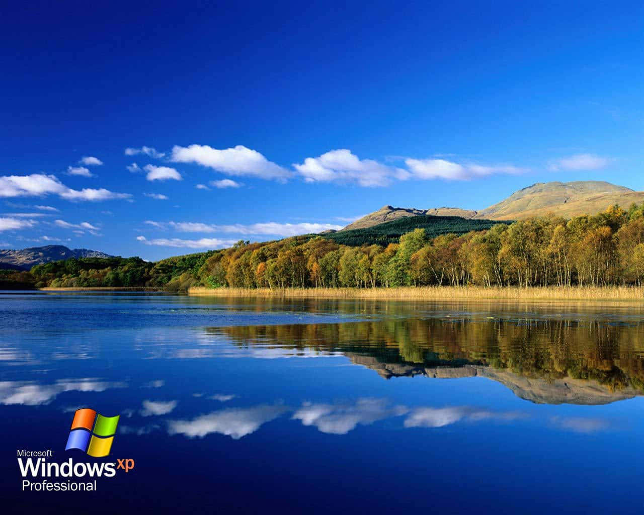 Windows XP Logo, autumn forest, blue sky, HD Desktop Wallpaper