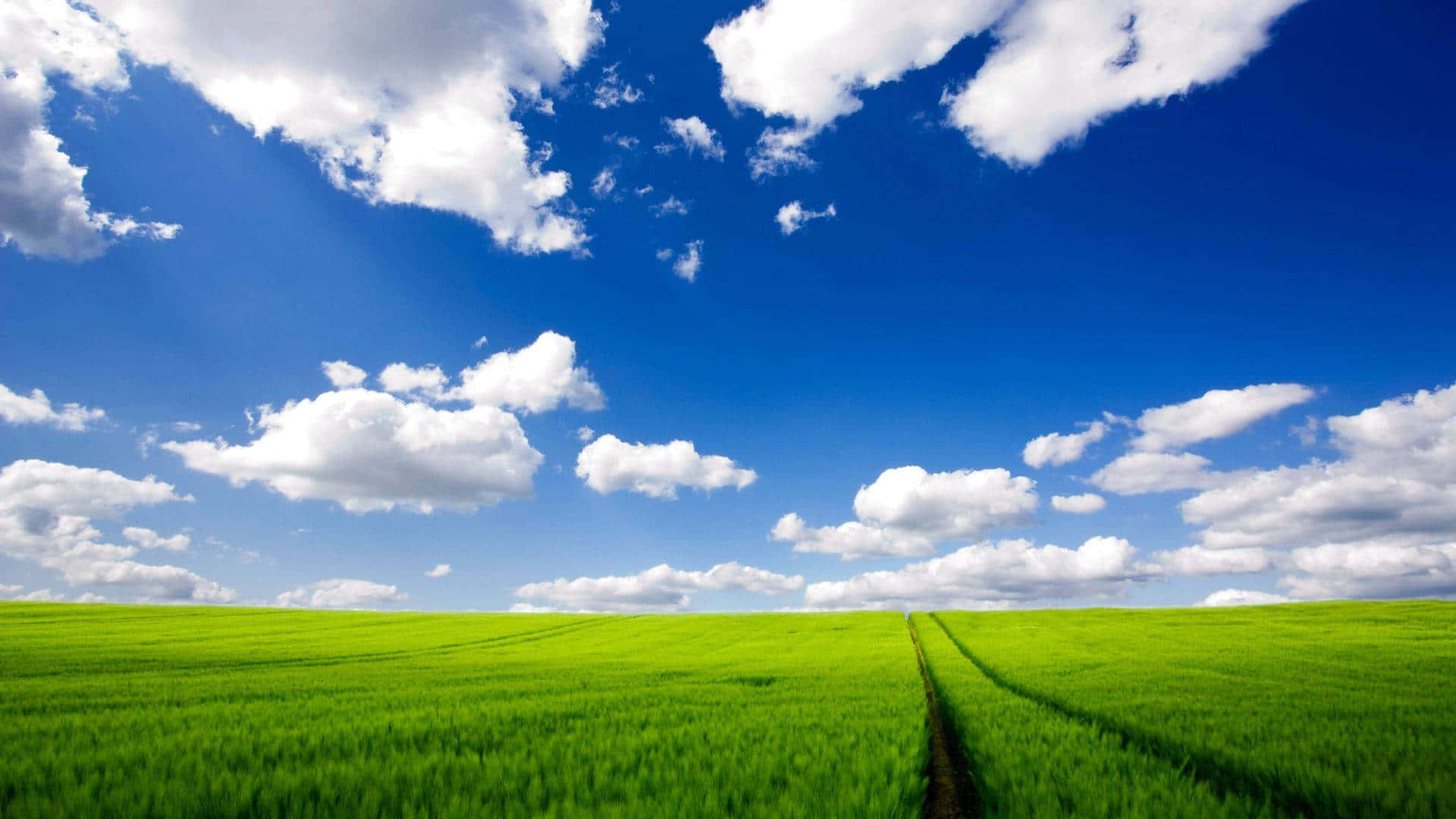 Windows XP Logo, green field, bright blue sky, Full HD Desktop Wallpaper