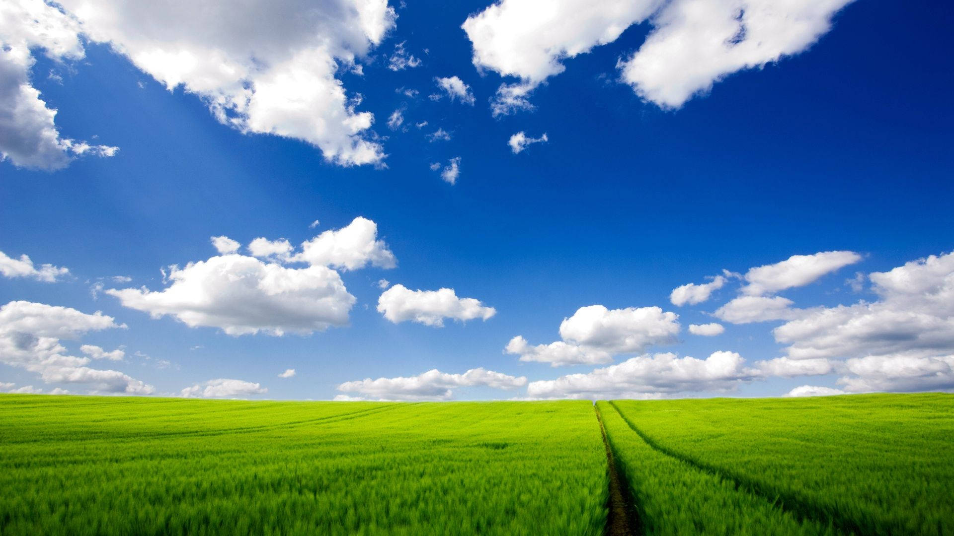 Windows XP, emerald green field, brilliant blue sky, Full HD Desktop Wallpaper