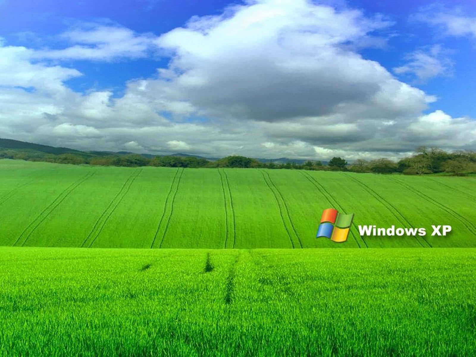 Windows XP, green field, tractor tracks, HD Desktop Wallpaper