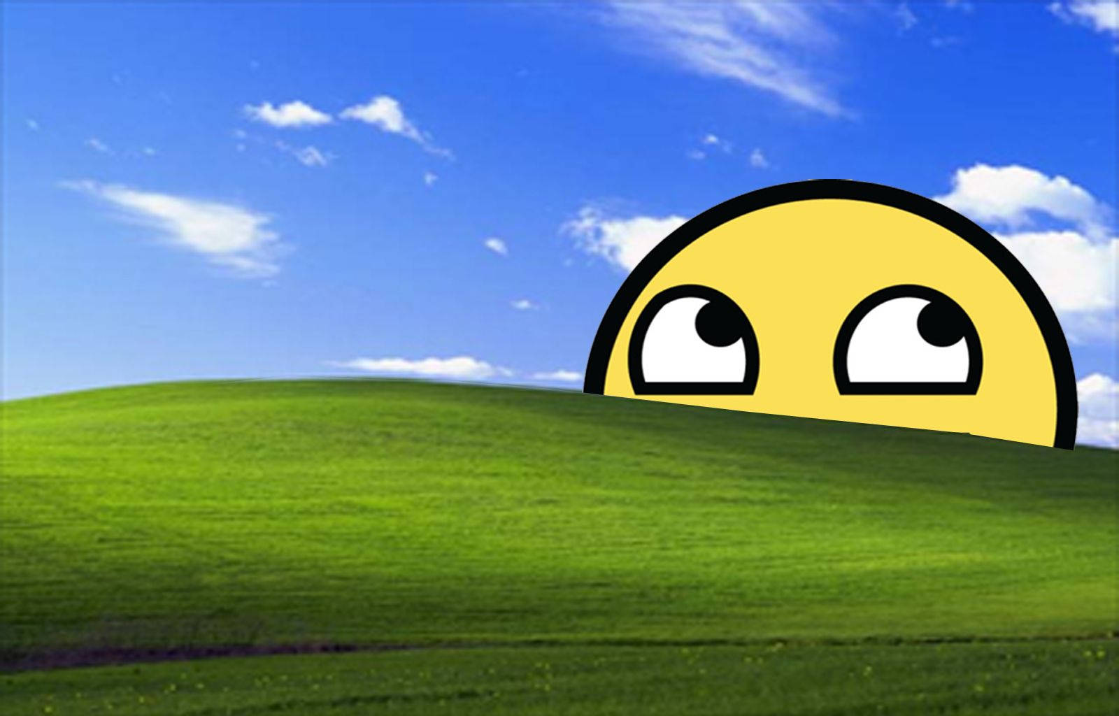 Windows XP, cartoon yellow emoji, lush green hill, HD Desktop Wallpaper