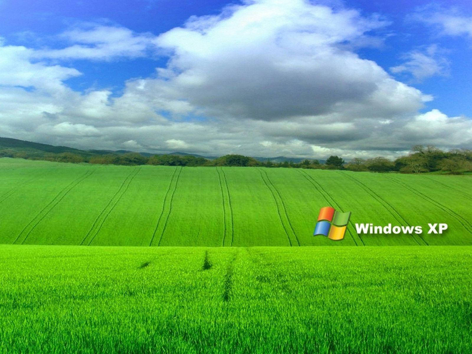 Windows XP, green field, bright blue sky, HD Desktop Wallpaper