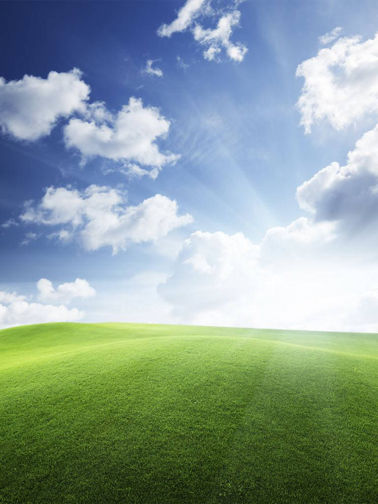 Windows XP, green hill, bright blue sky, SD Phone Wallpaper