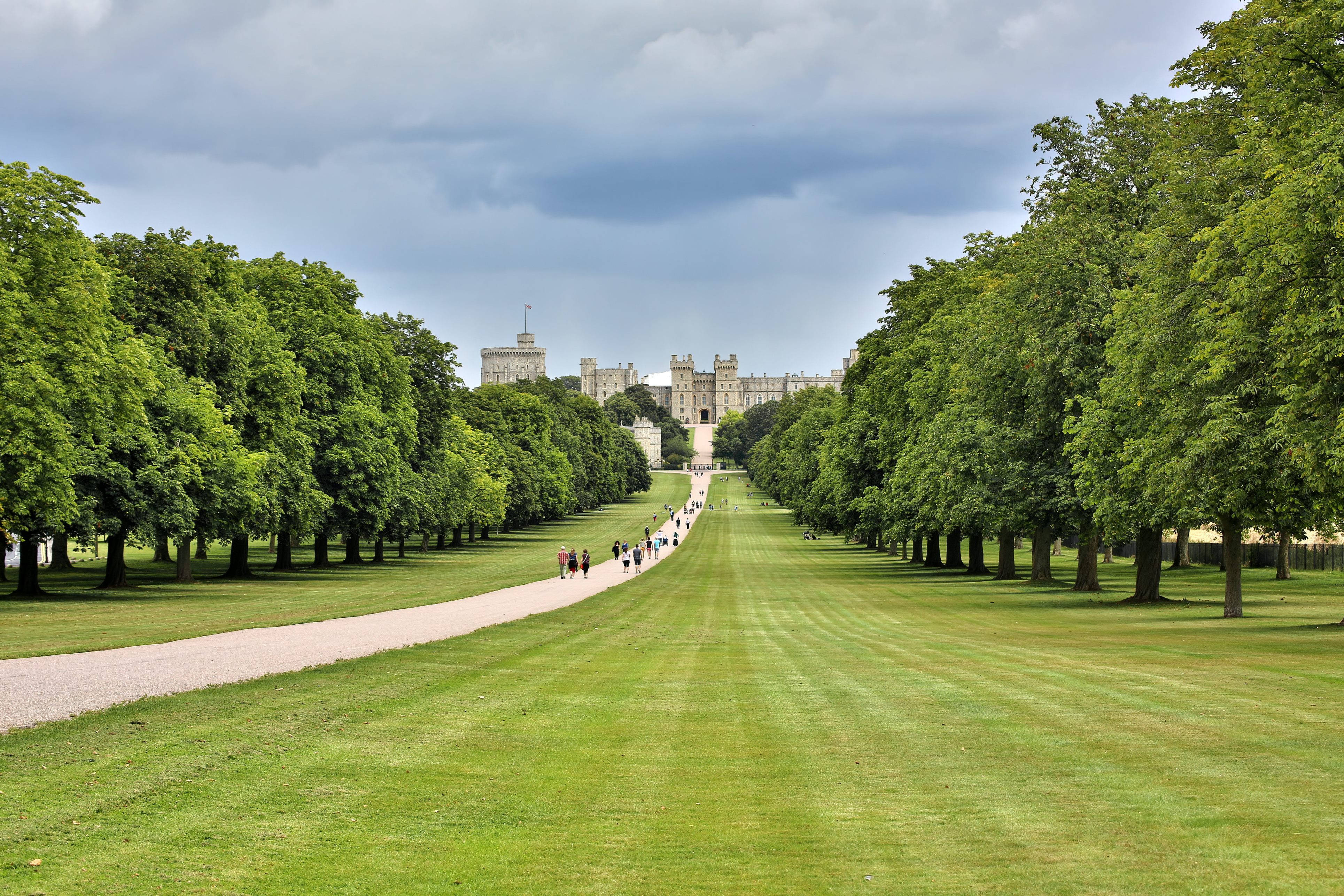 Windsor Castle, grassy path, tree-lined path, 4K Desktop Wallpaper