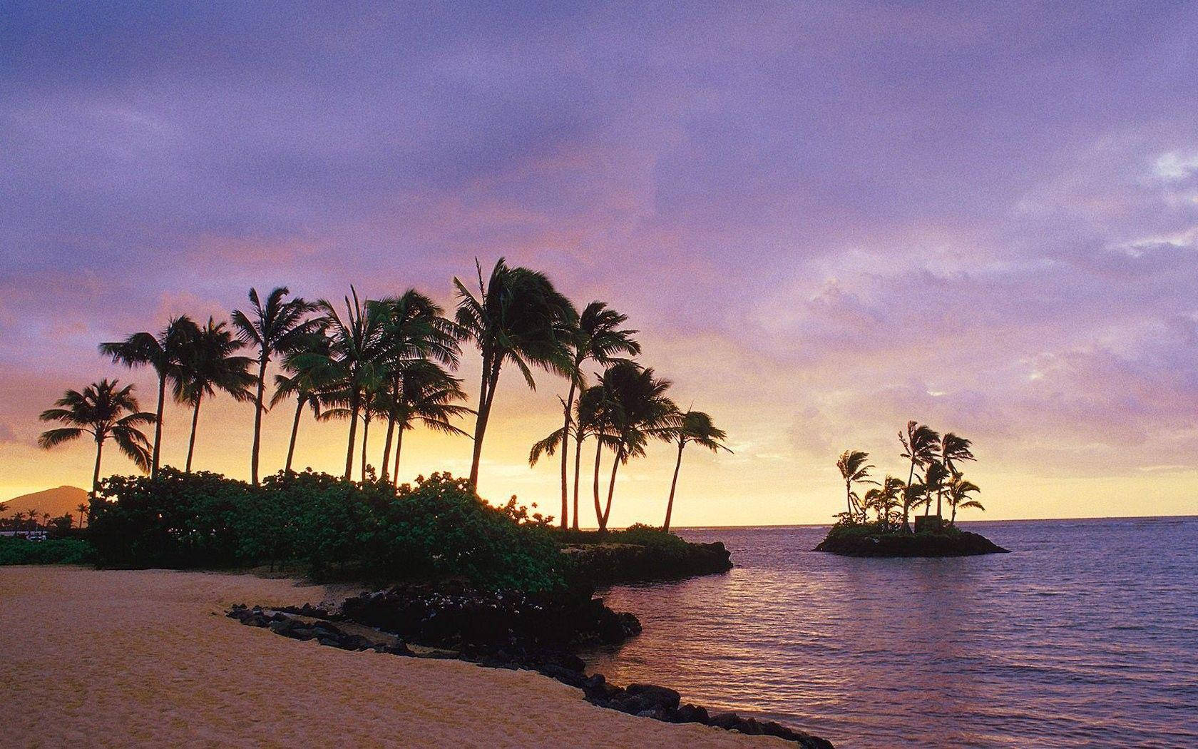 palm trees, beach, tropical islets, HD Desktop Wallpaper