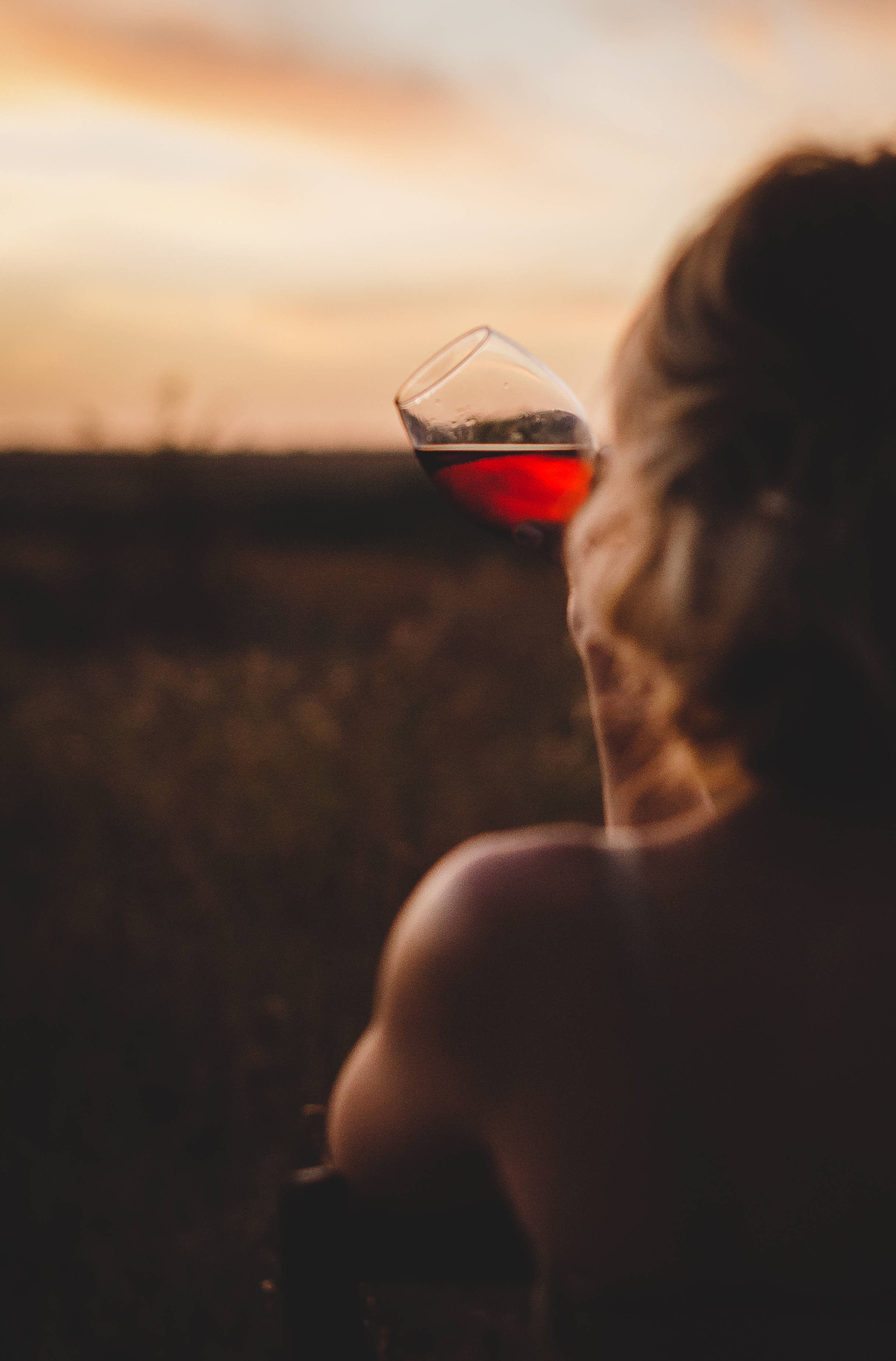 Wine, sunset, silhouette, 2K Phone Wallpaper