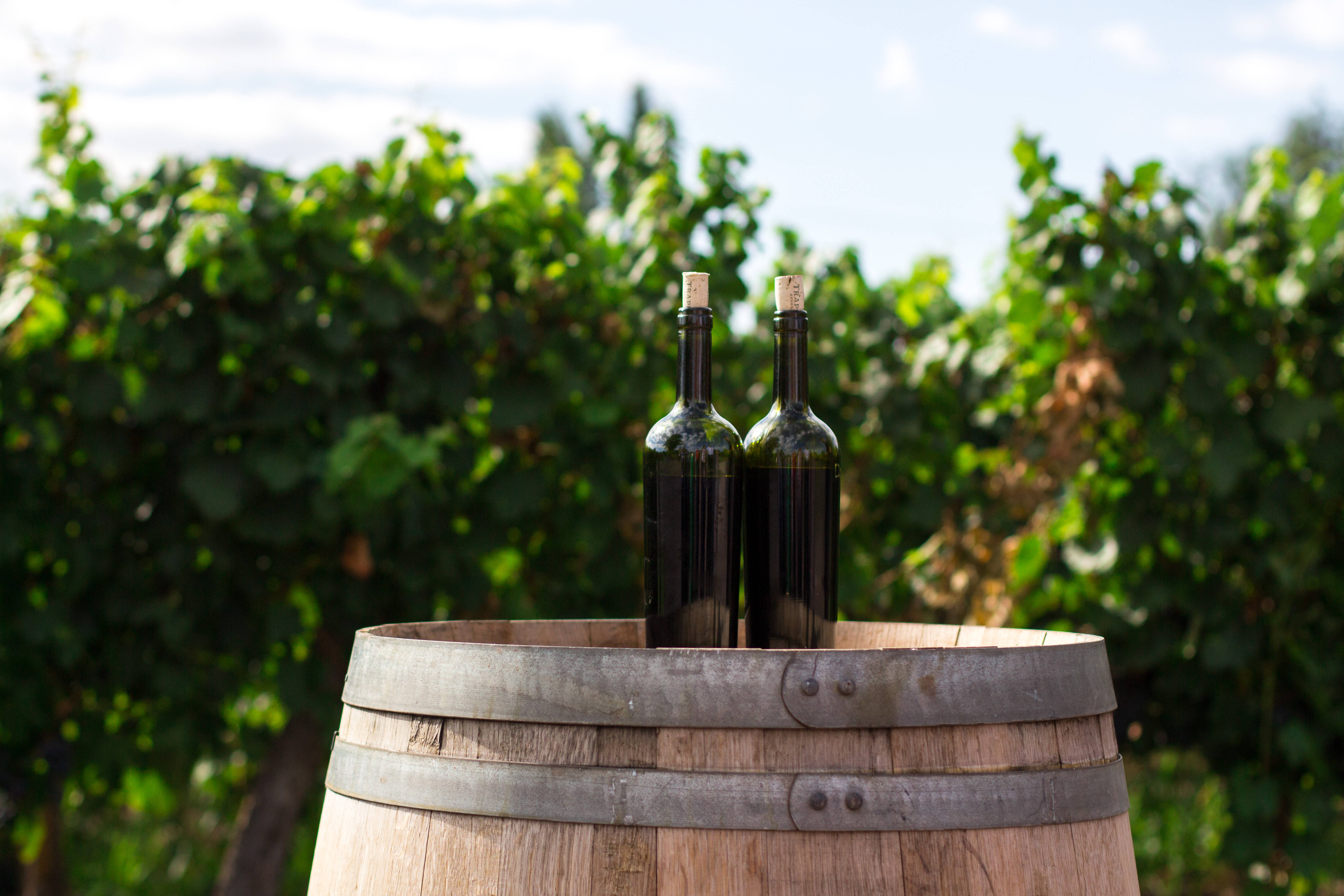 wine bottles, vineyard, weathered wooden barrel, 5K Desktop Wallpaper